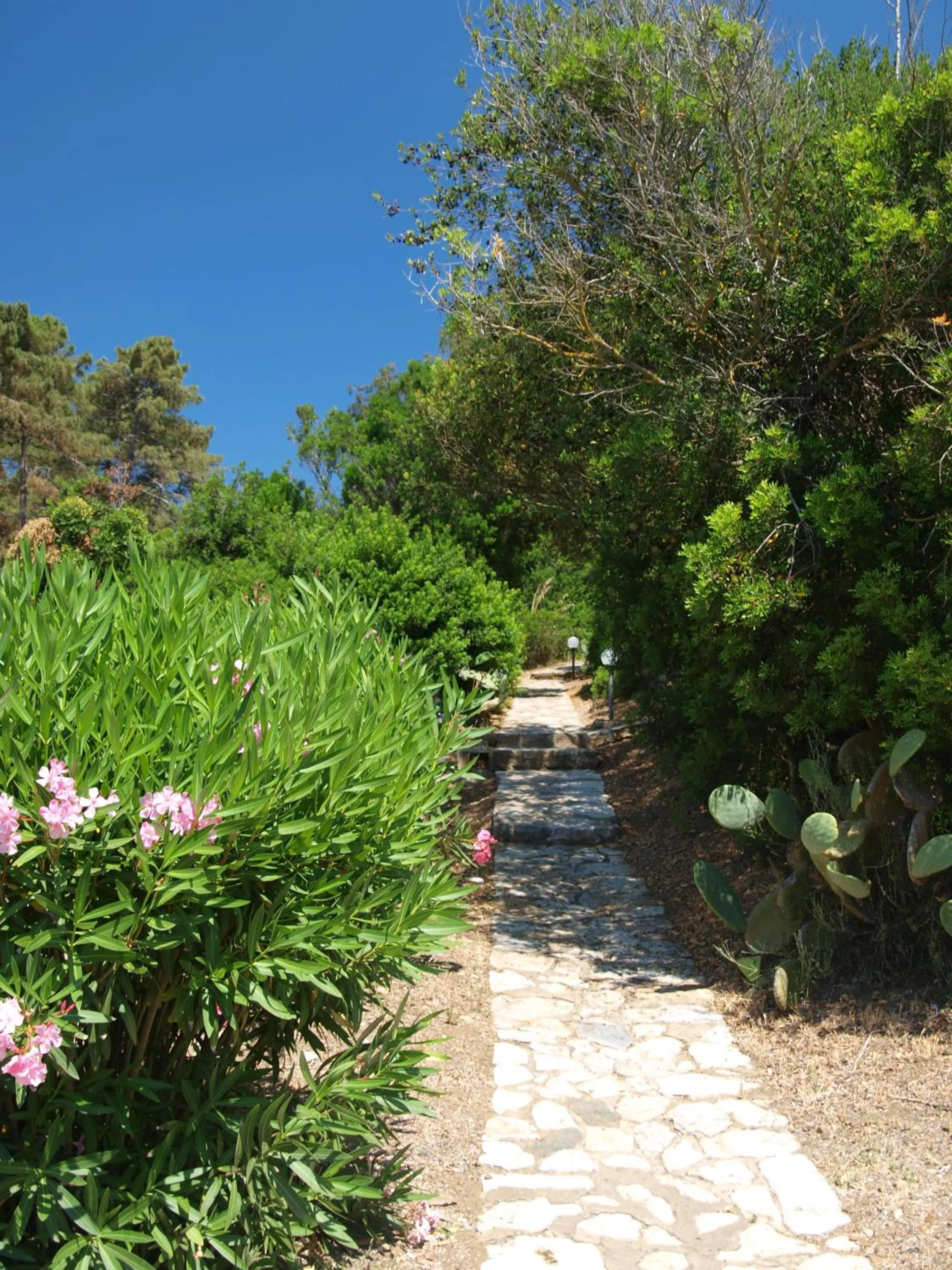 Day in Hotel Capo Sud