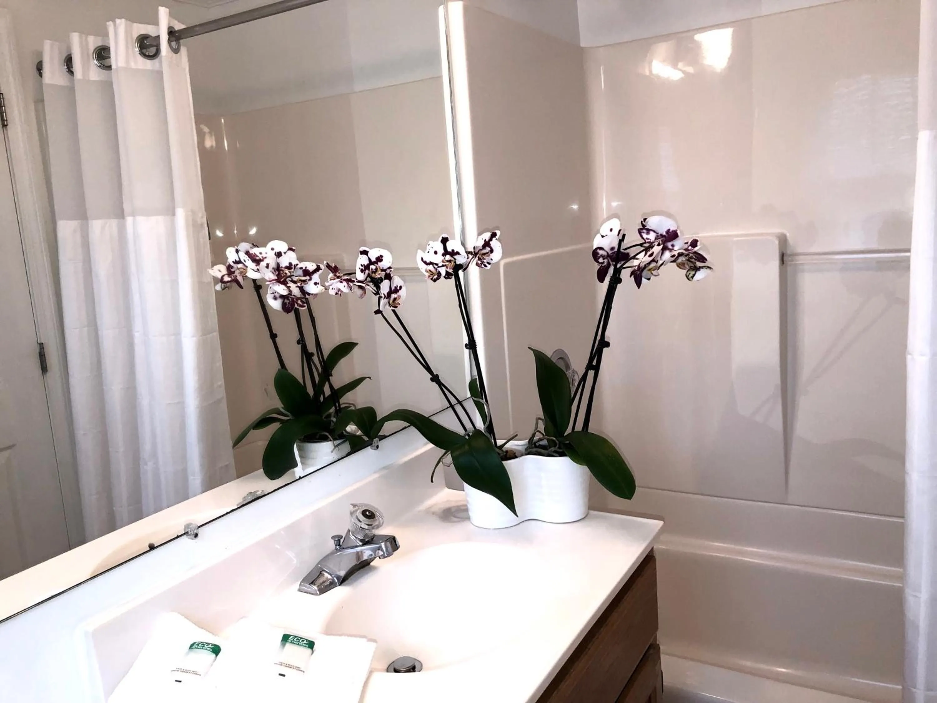 Bathroom in Hyannis Inn