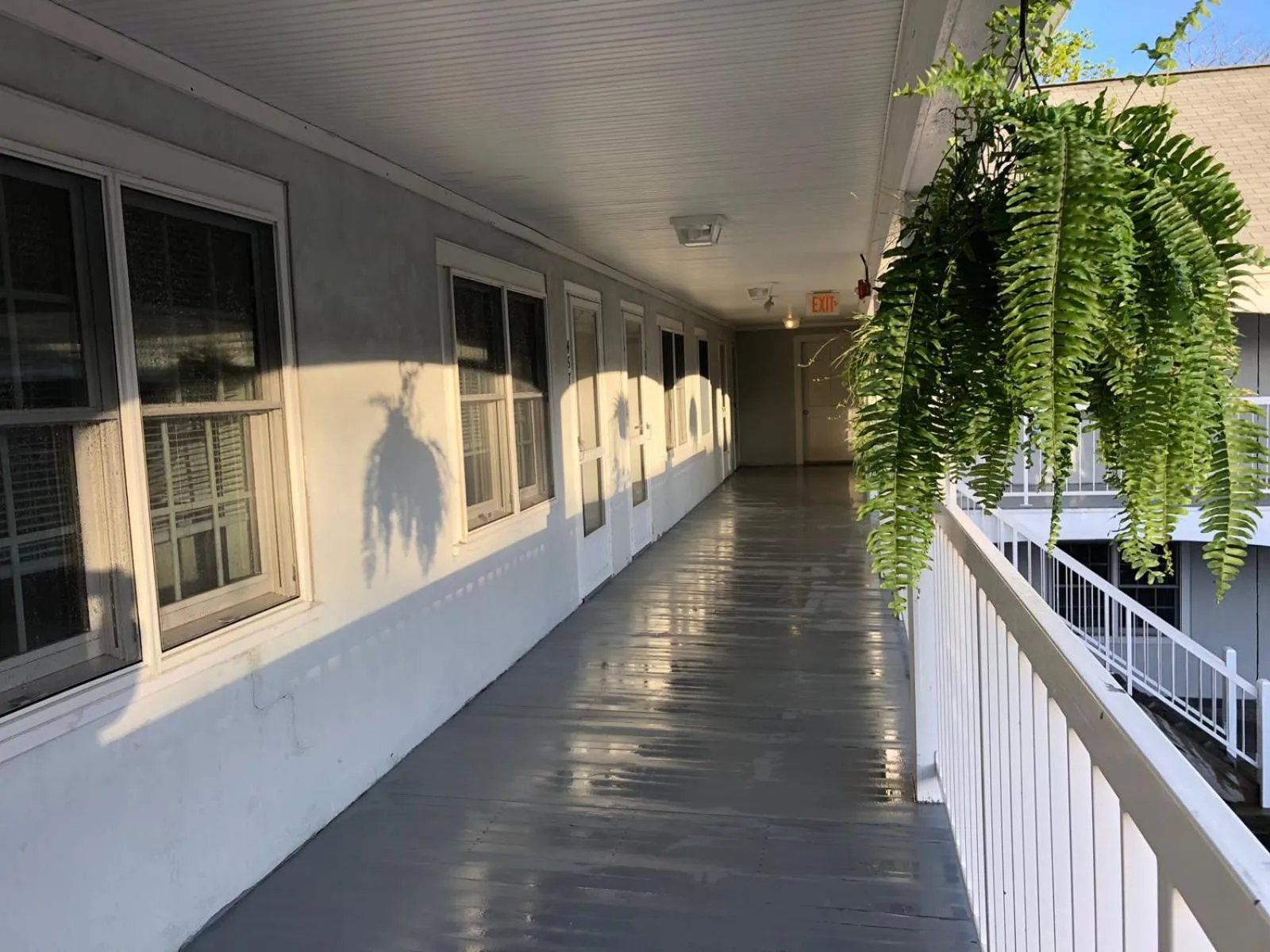 Balcony/Terrace in Hyannis Inn