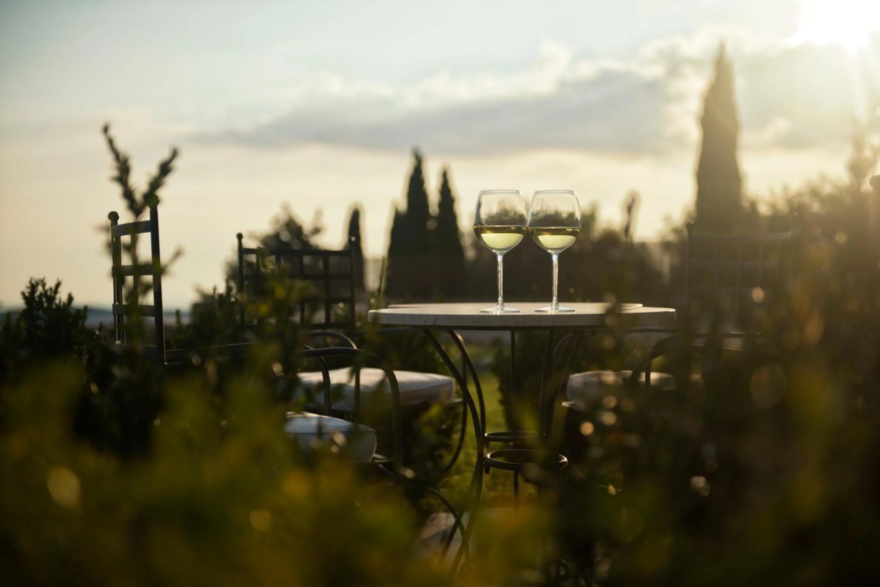 Patio in Collina Degli Ulivi B&B