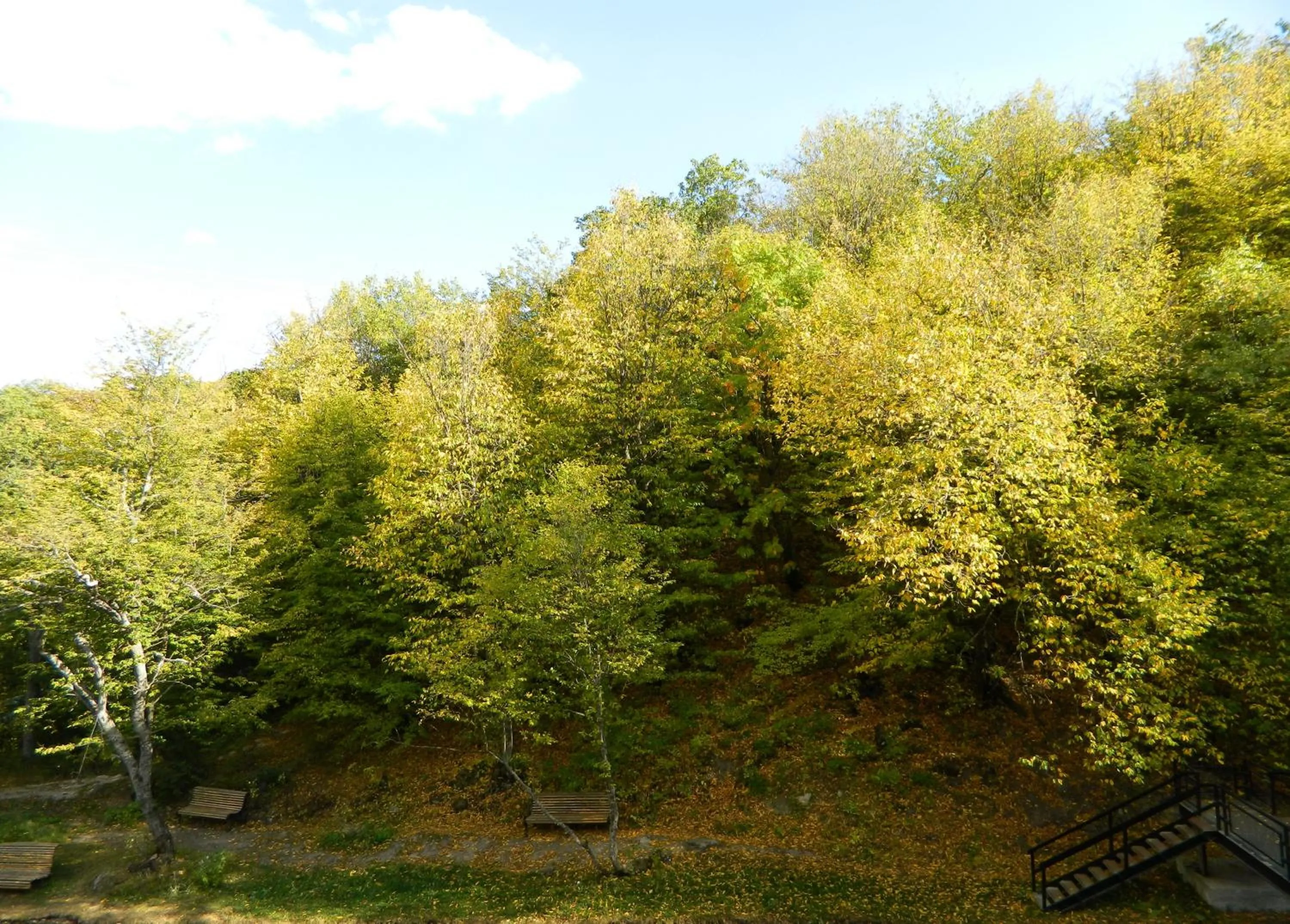 View (from property/room) in Tsaghkahovit Hotel
