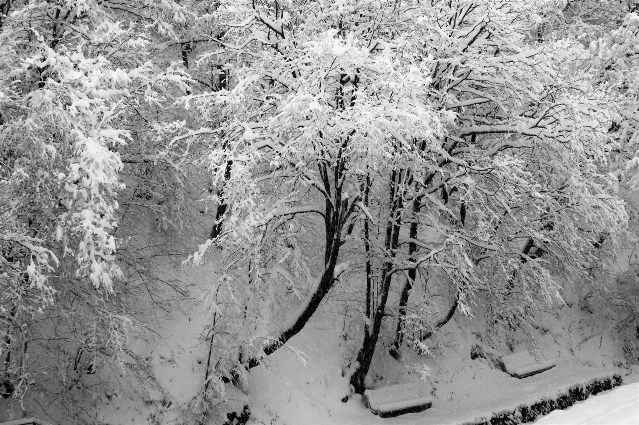 Day in Tsaghkahovit Hotel