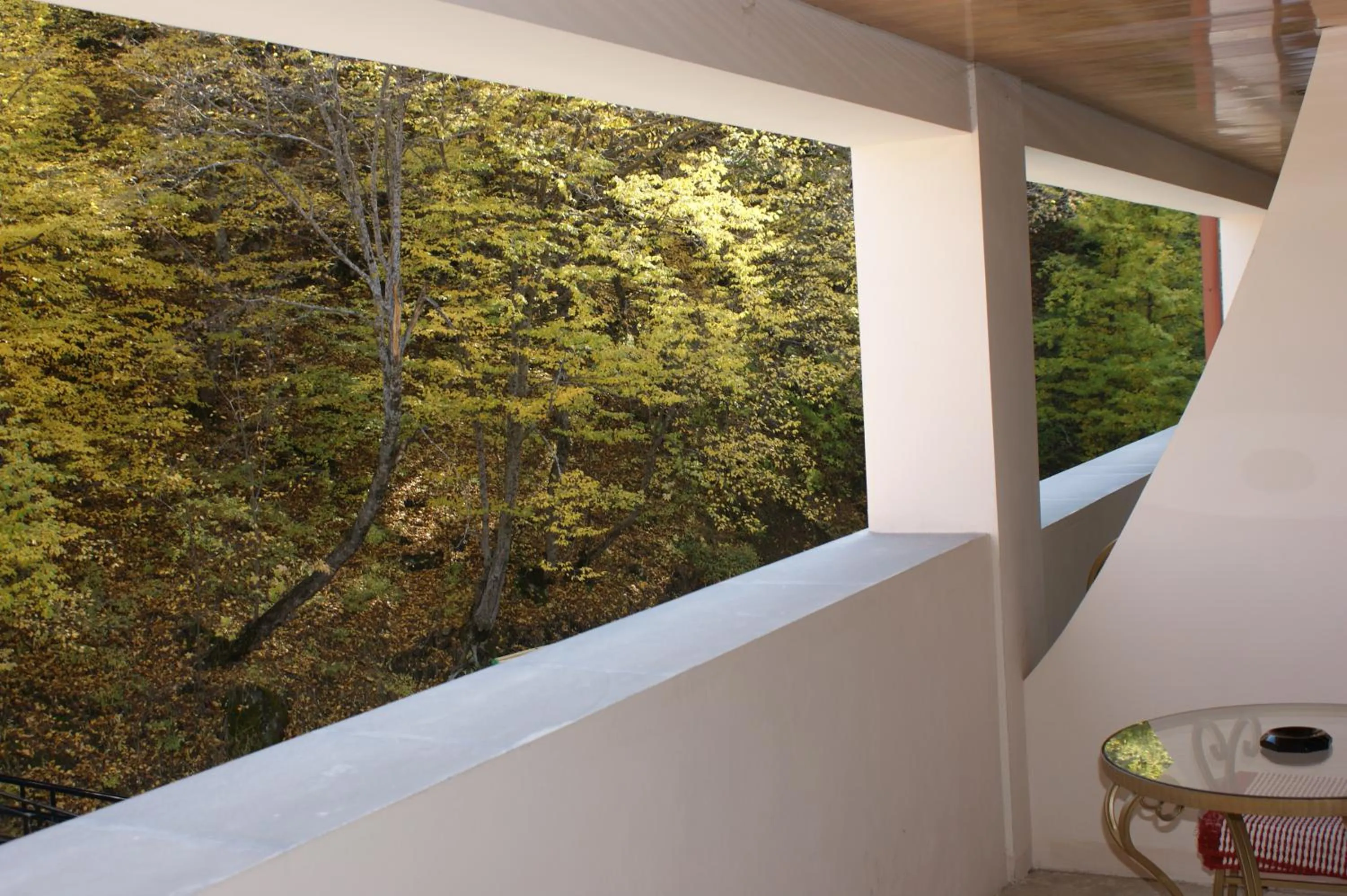 Garden view in Tsaghkahovit Hotel