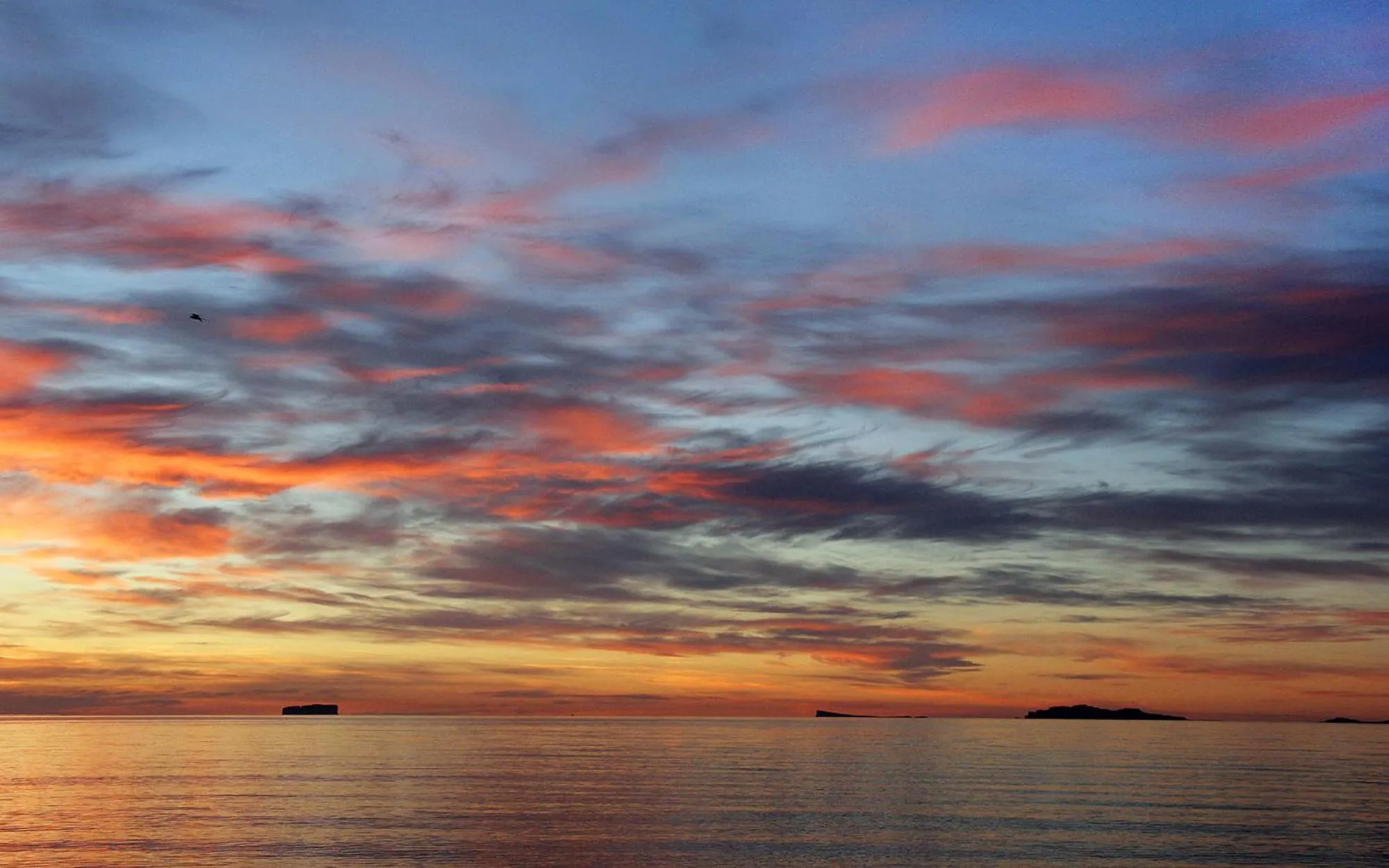 Area and facilities in Hotel Mikligardur