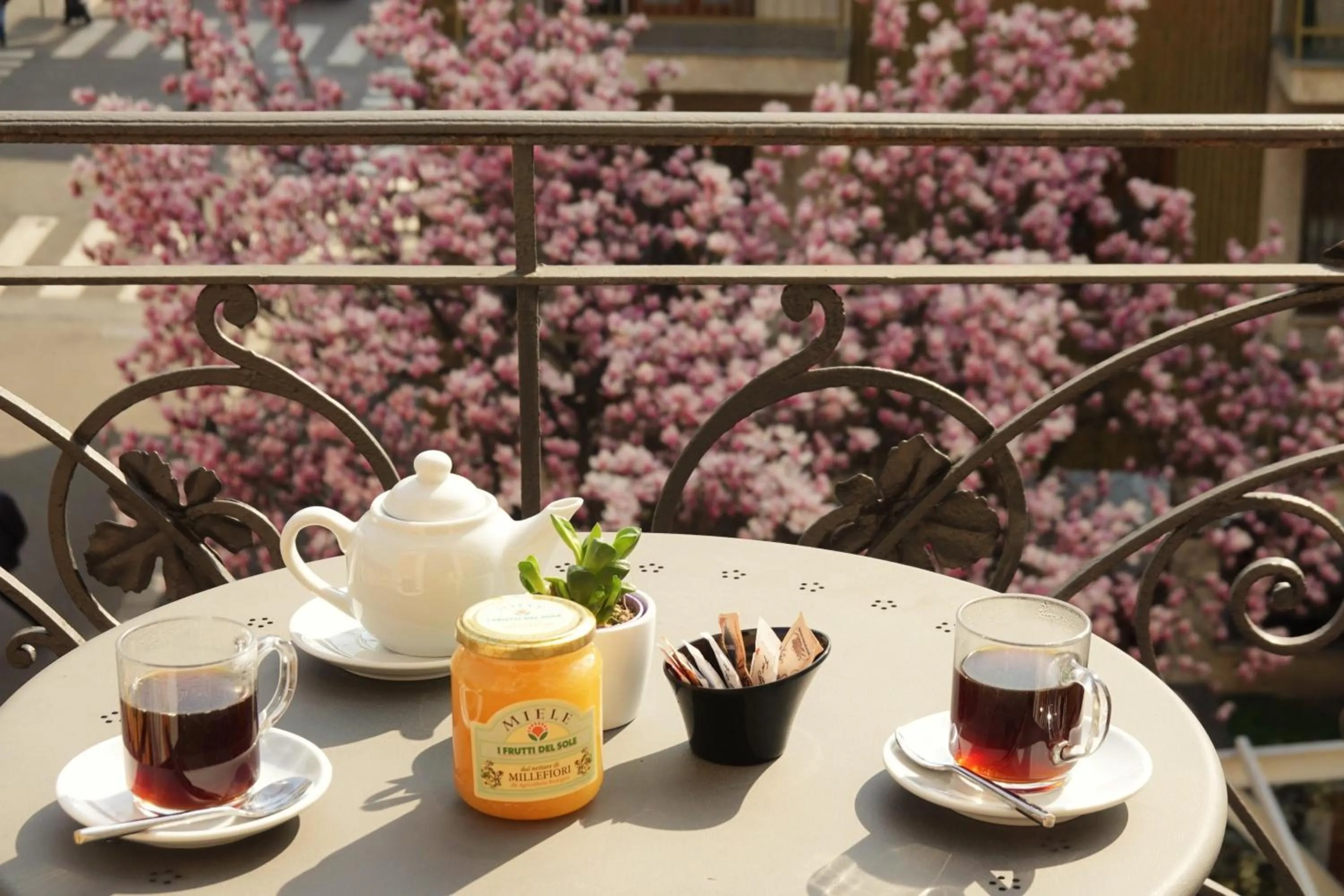 Balcony/Terrace in Biocity