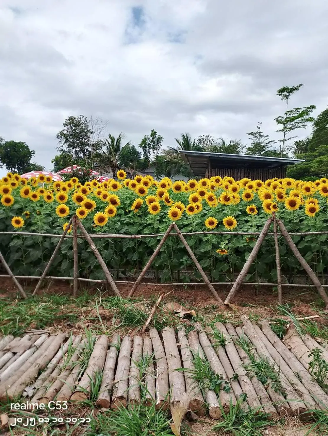 Blue Sky Villa Khao Yai