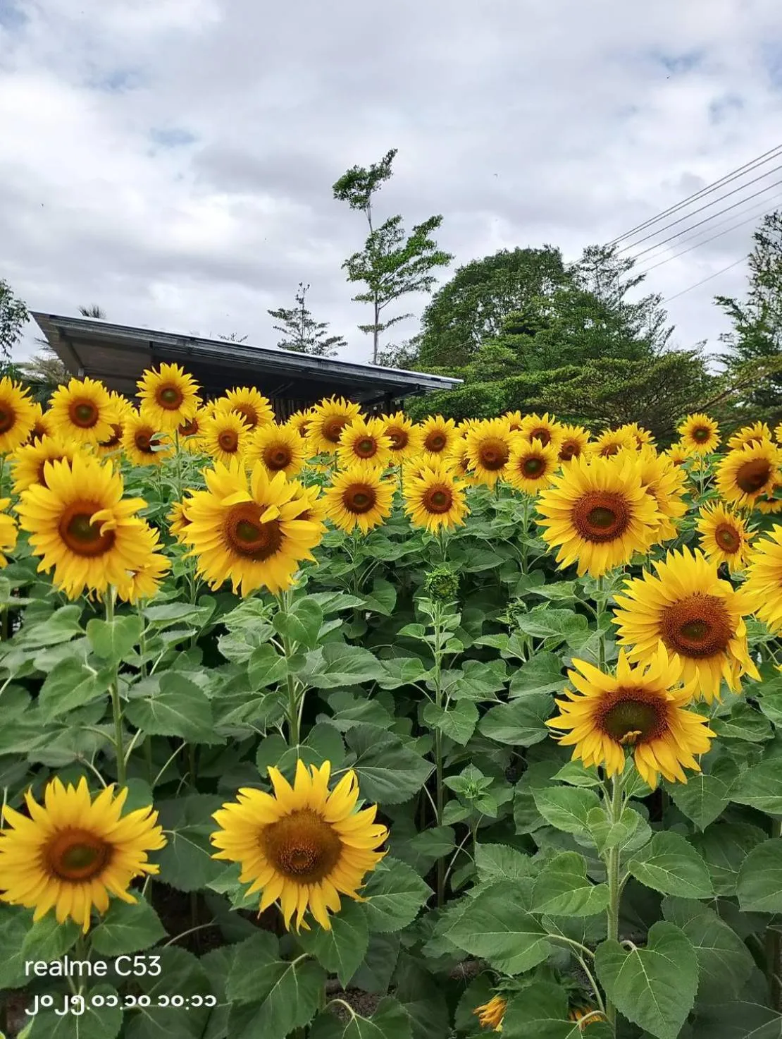 Blue Sky Villa Khao Yai
