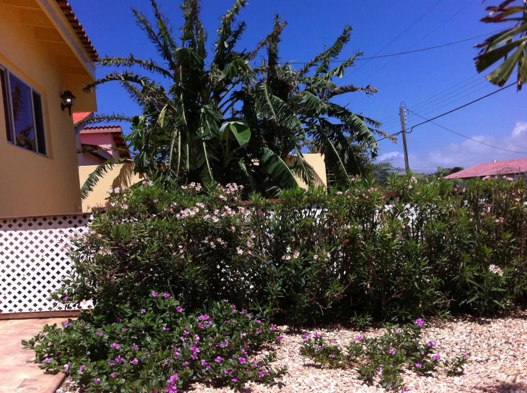 Garden in Alta Montaña