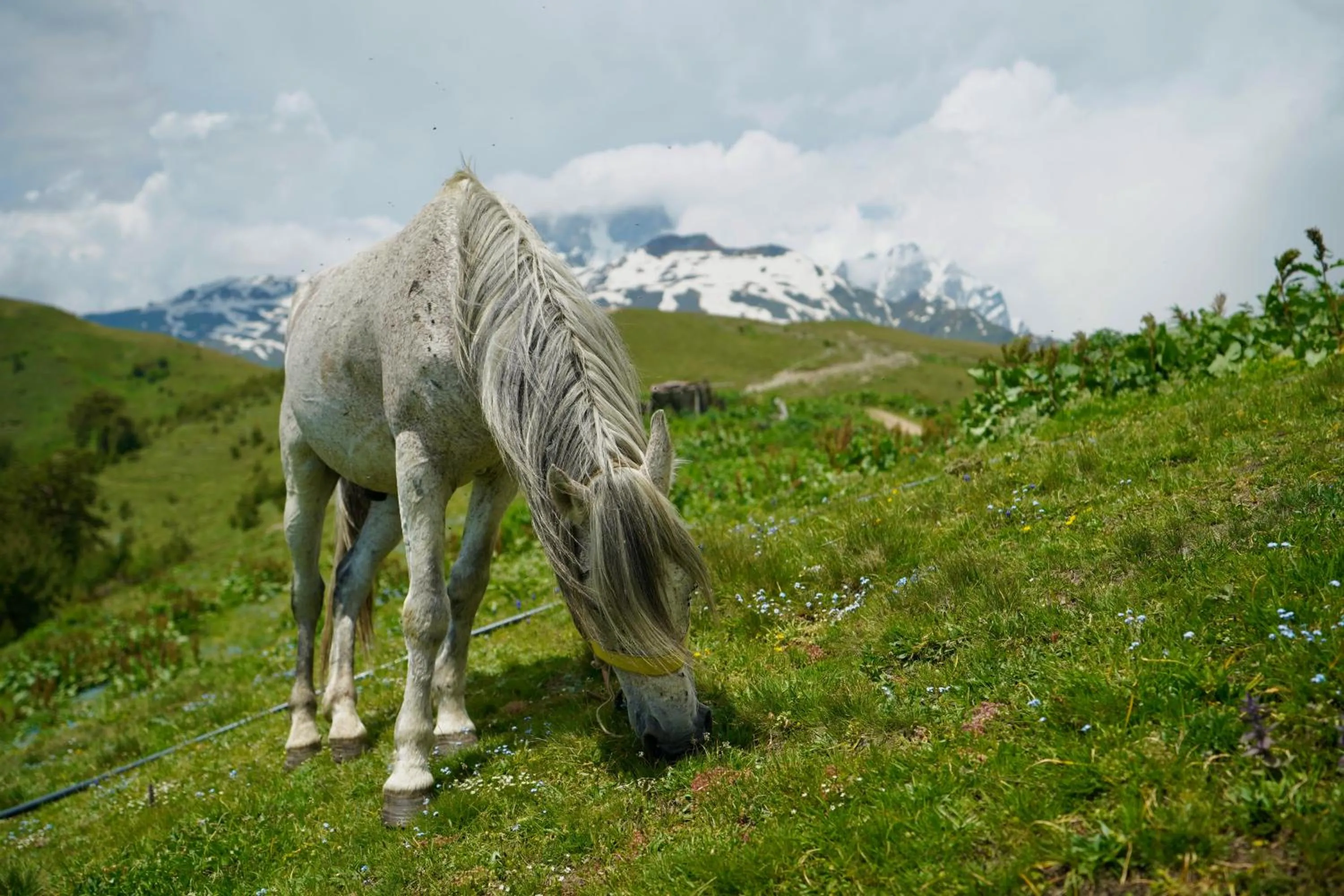Children play ground in Mountain Cabins