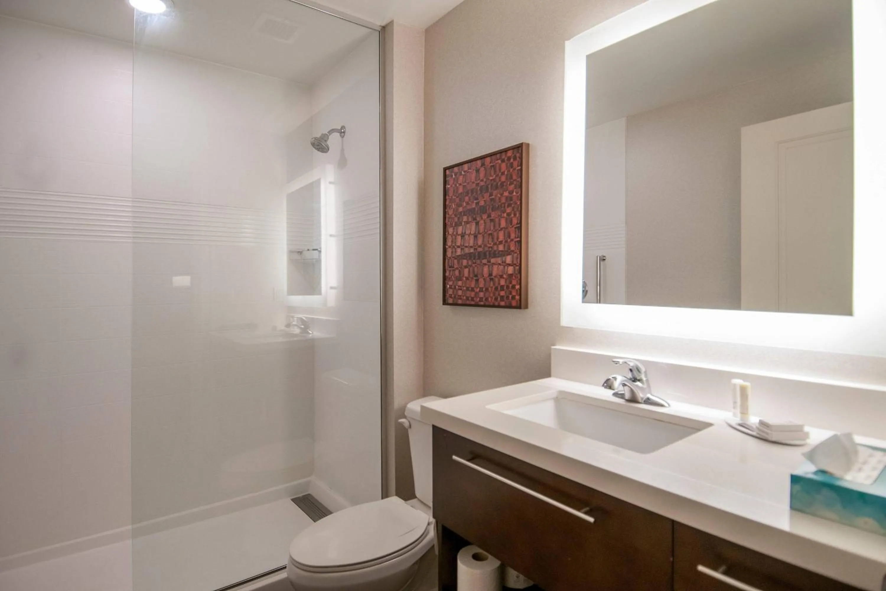 Bathroom in TownePlace Suites by Marriott Vidalia Riverfront