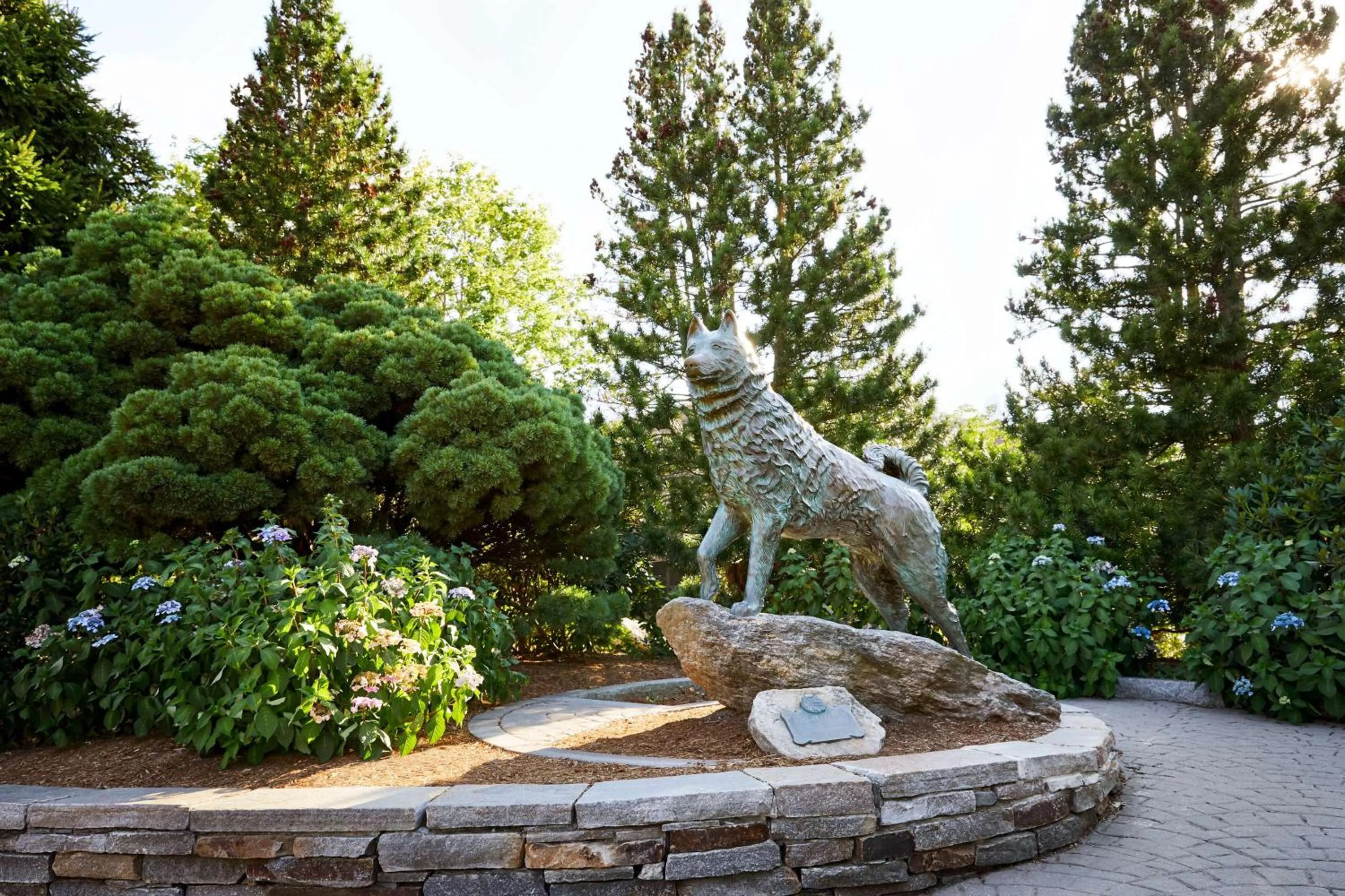 Garden in Graduate by Hilton Storrs