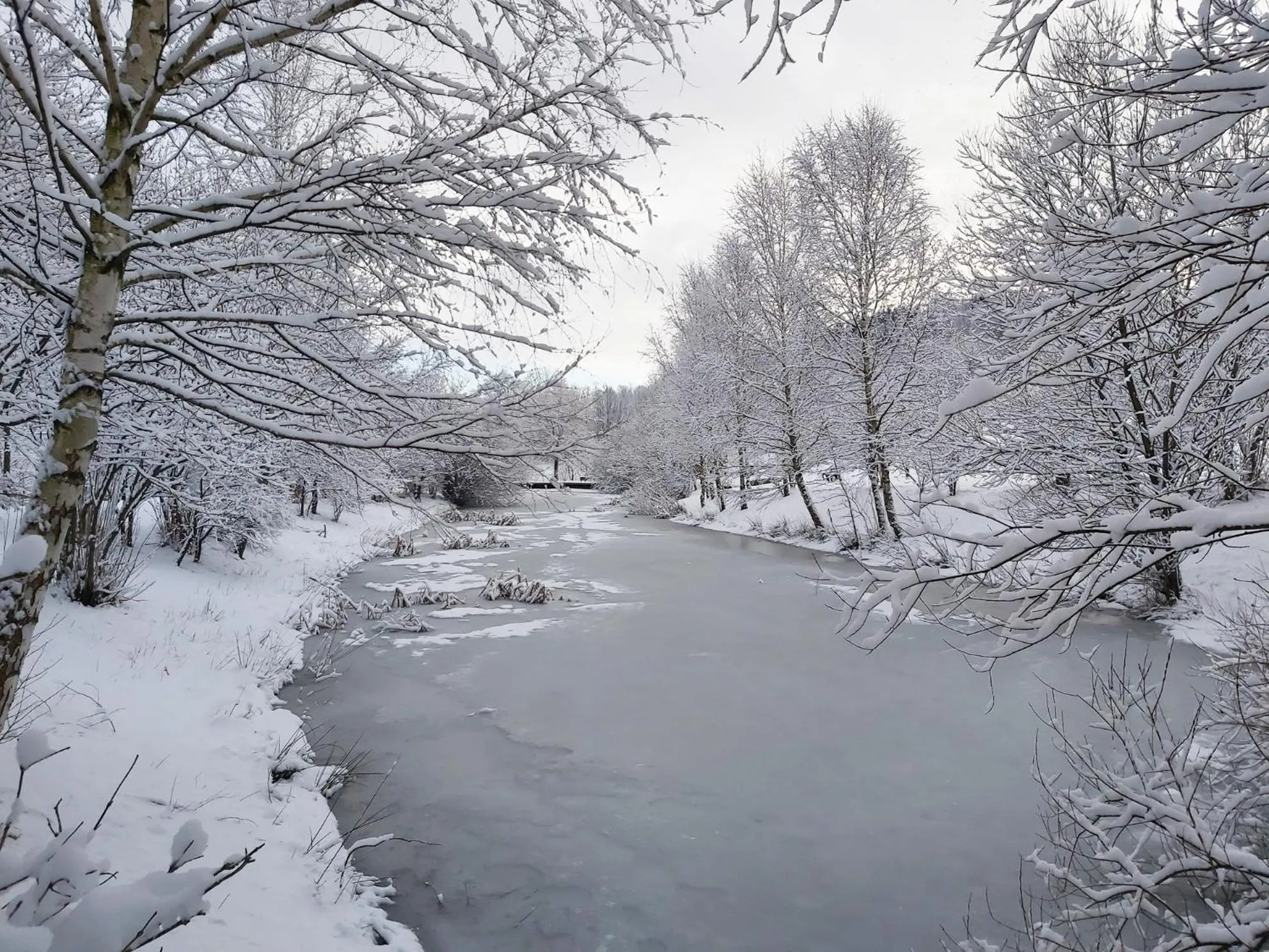 Garden in Hotel Helios
