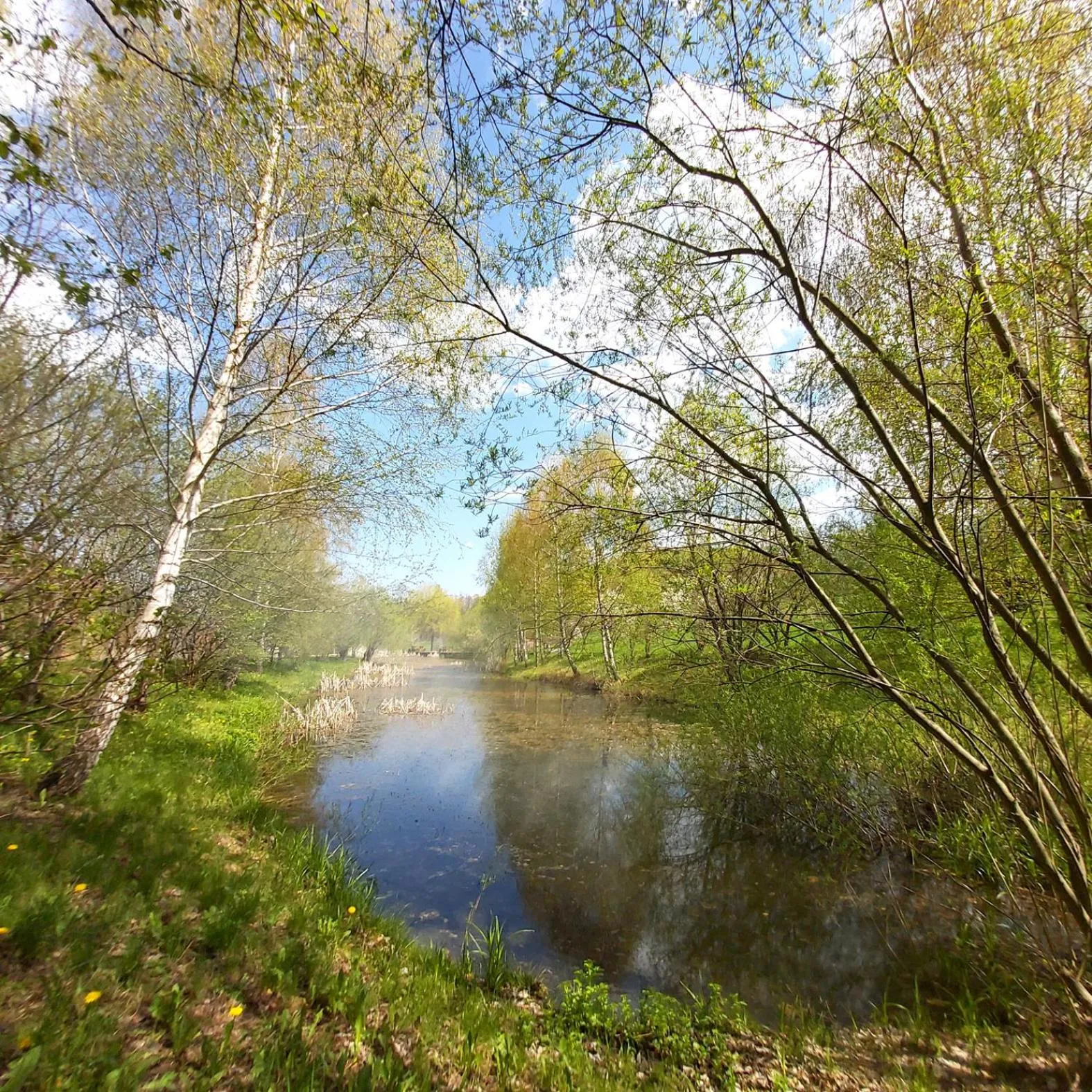 Garden in Hotel Helios