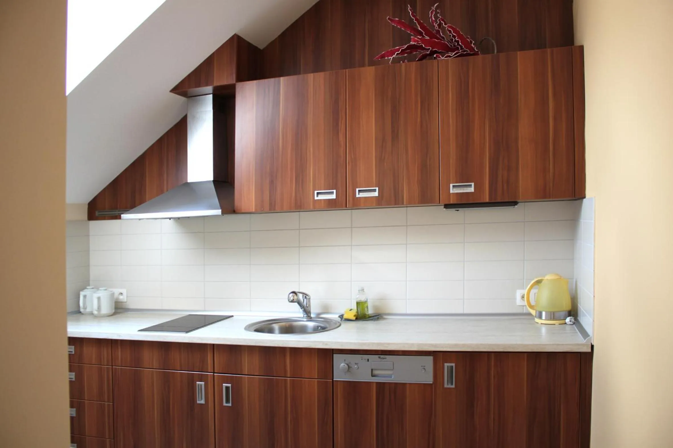 Kitchen or kitchenette in Hotel Helios