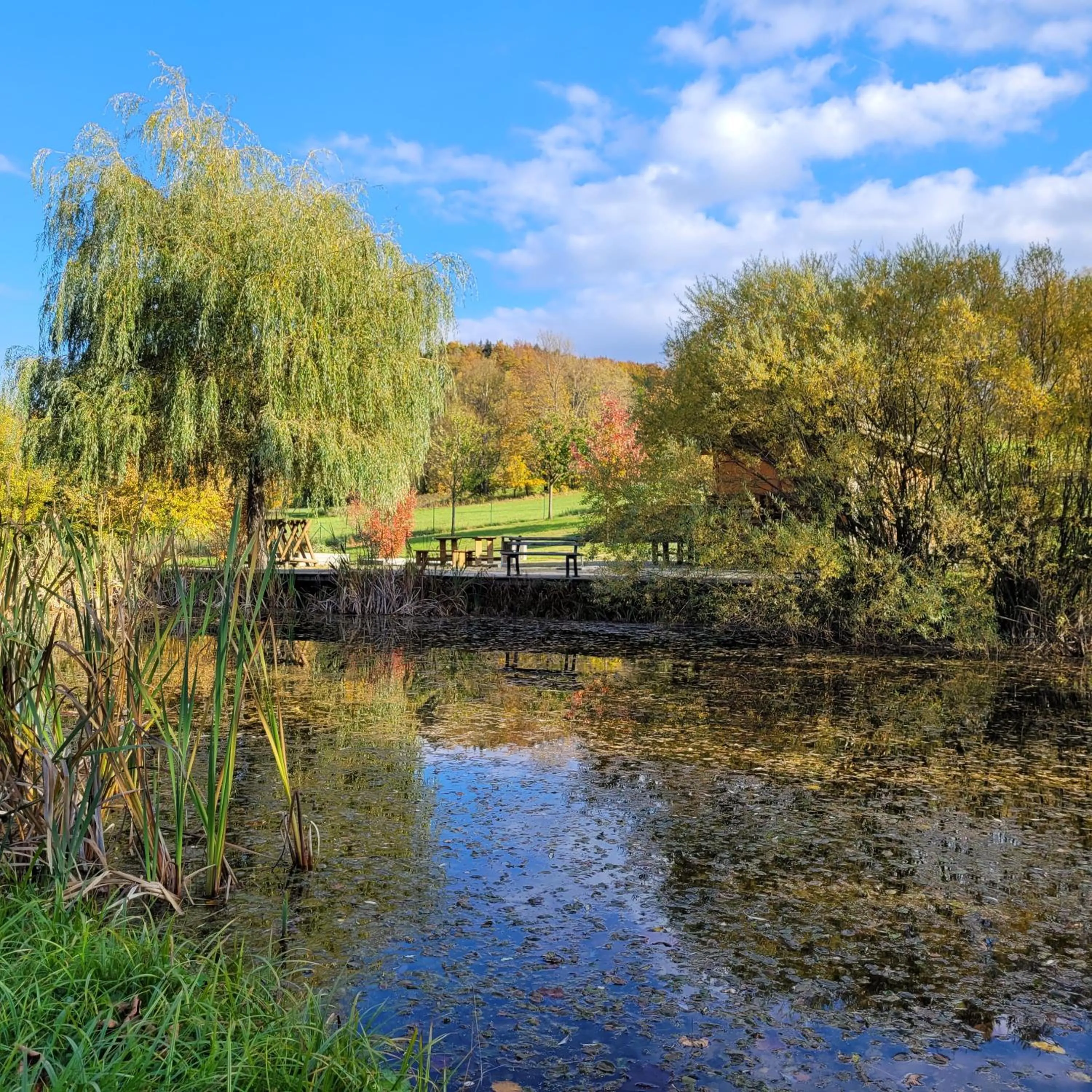 Garden in Hotel Helios
