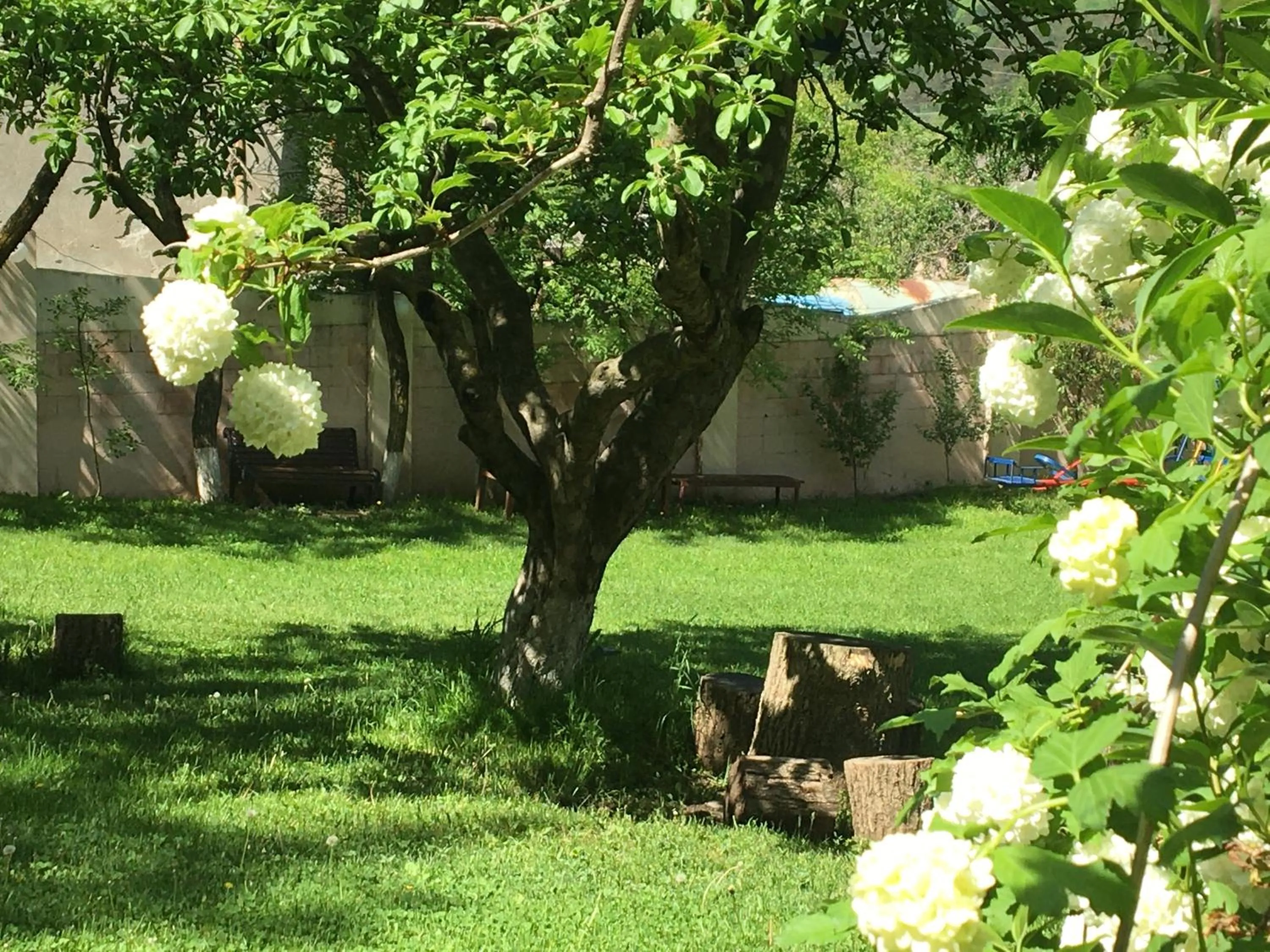 Other in GreenWood Hotel