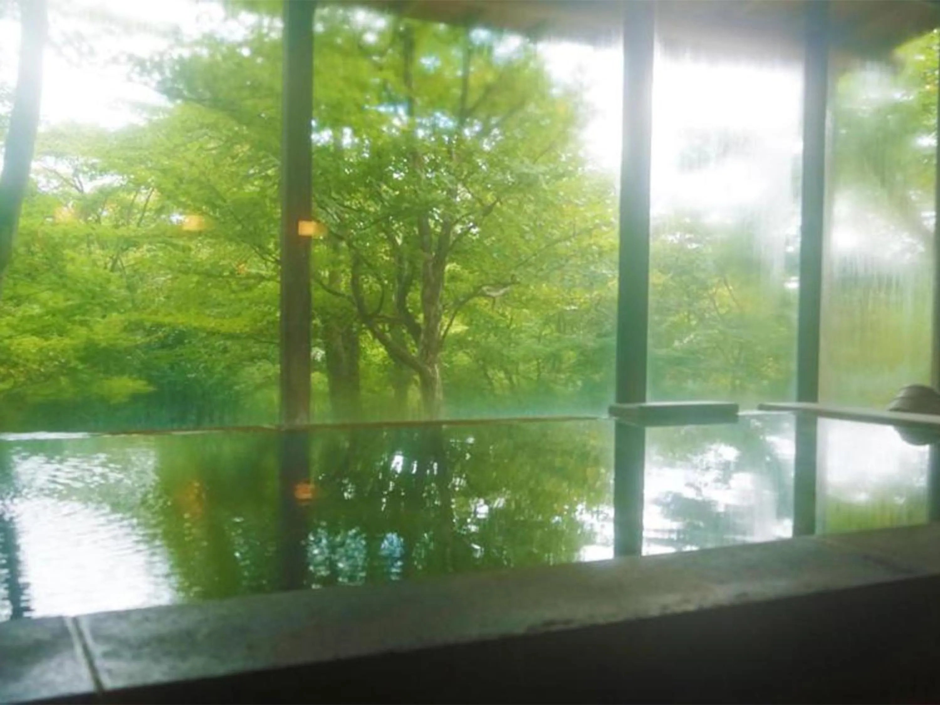 Hot Spring Bath in Wakaki Ryokan - Nasu Yumoto Onsen