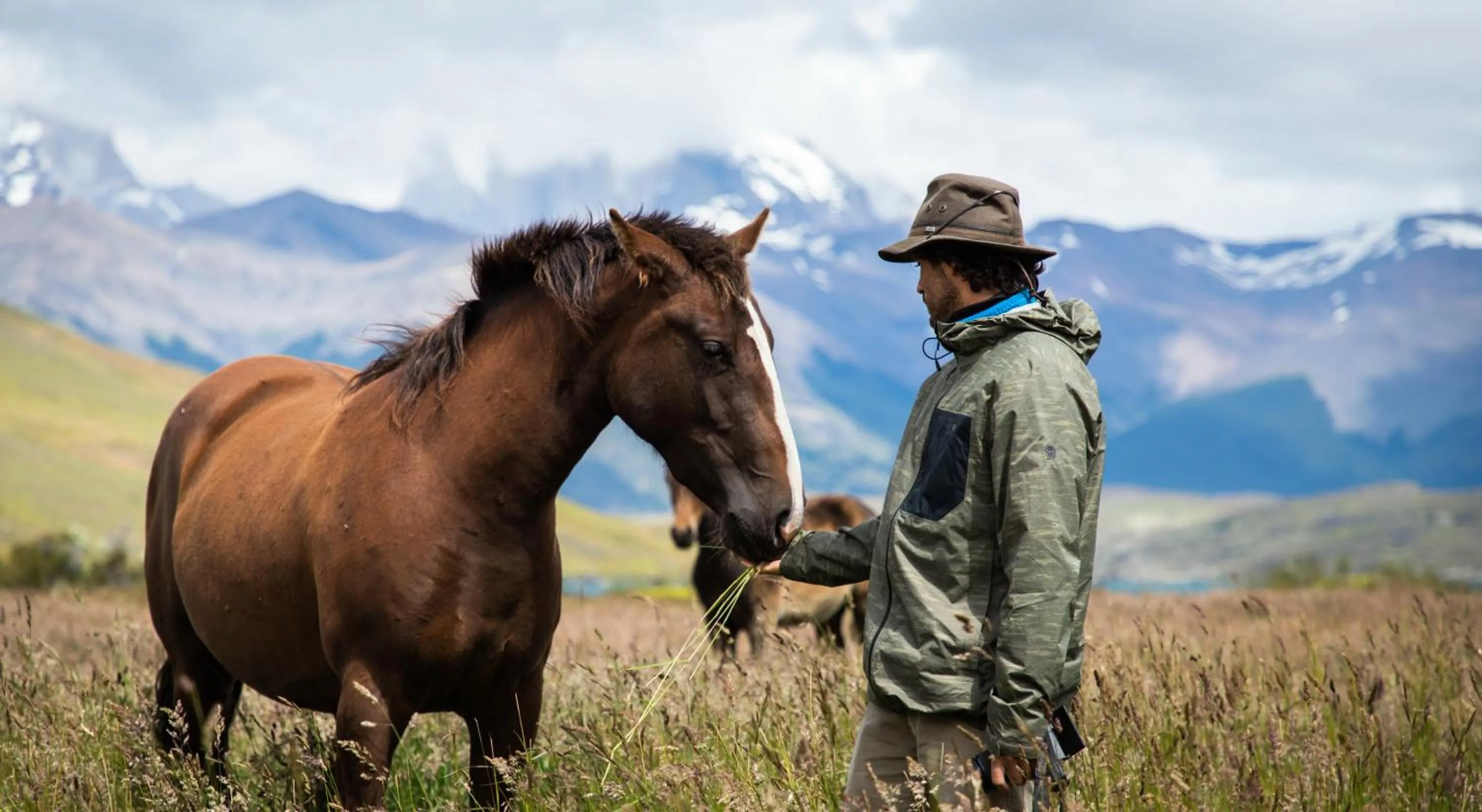 Natural landscape in Río Serrano Hotel + Spa