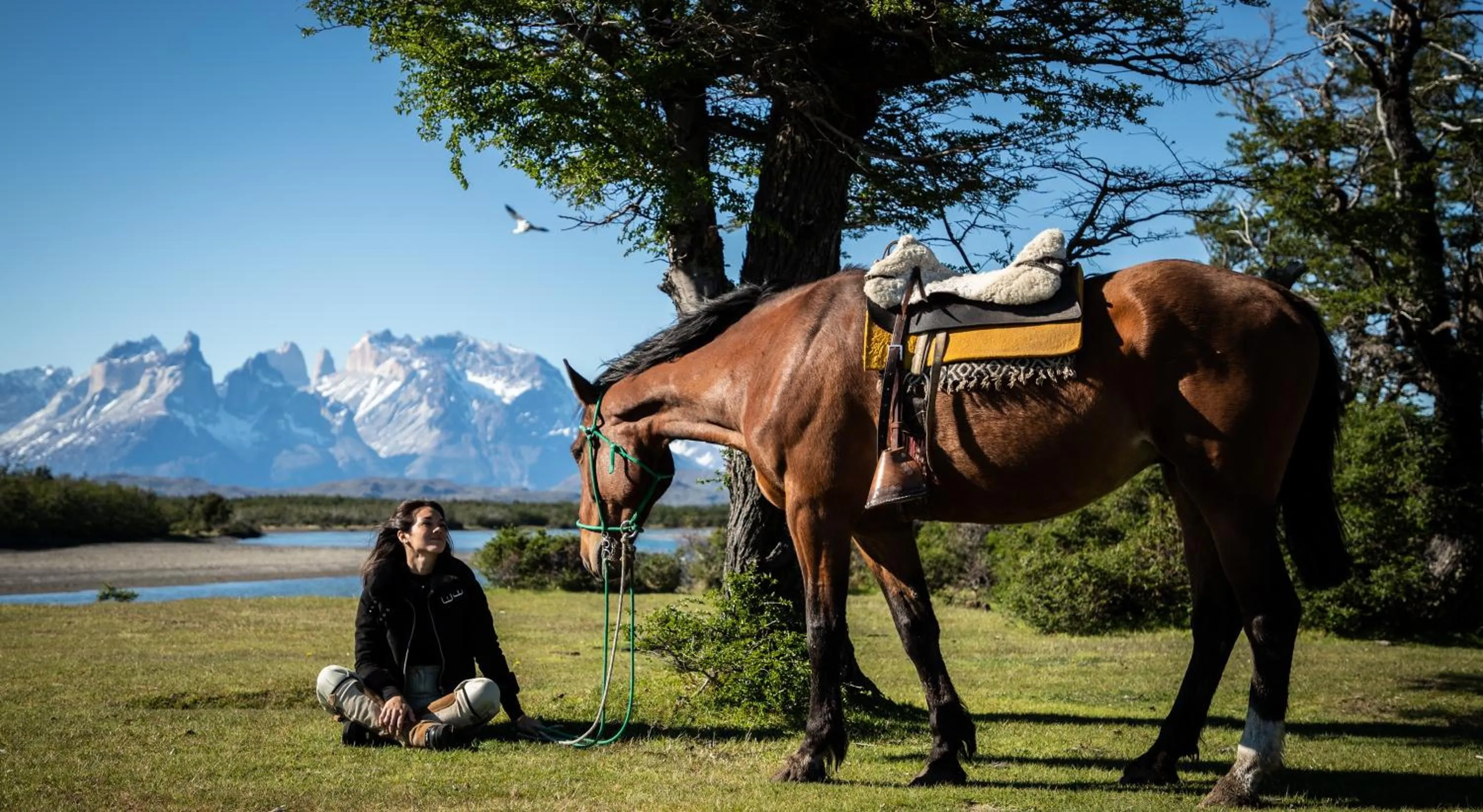 Horse-riding in Río Serrano Hotel + Spa