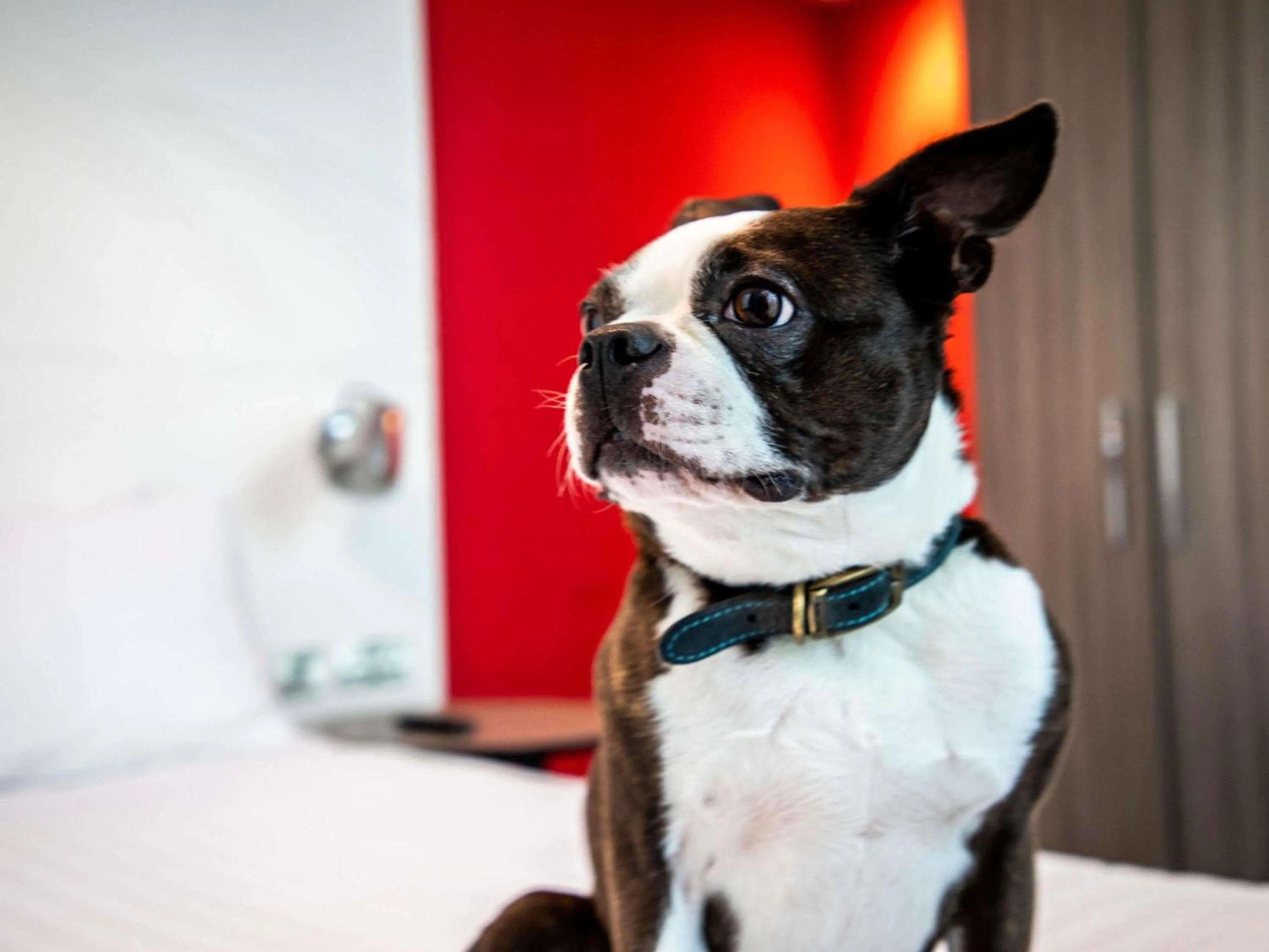 Bedroom in ibis Styles Glasgow Central