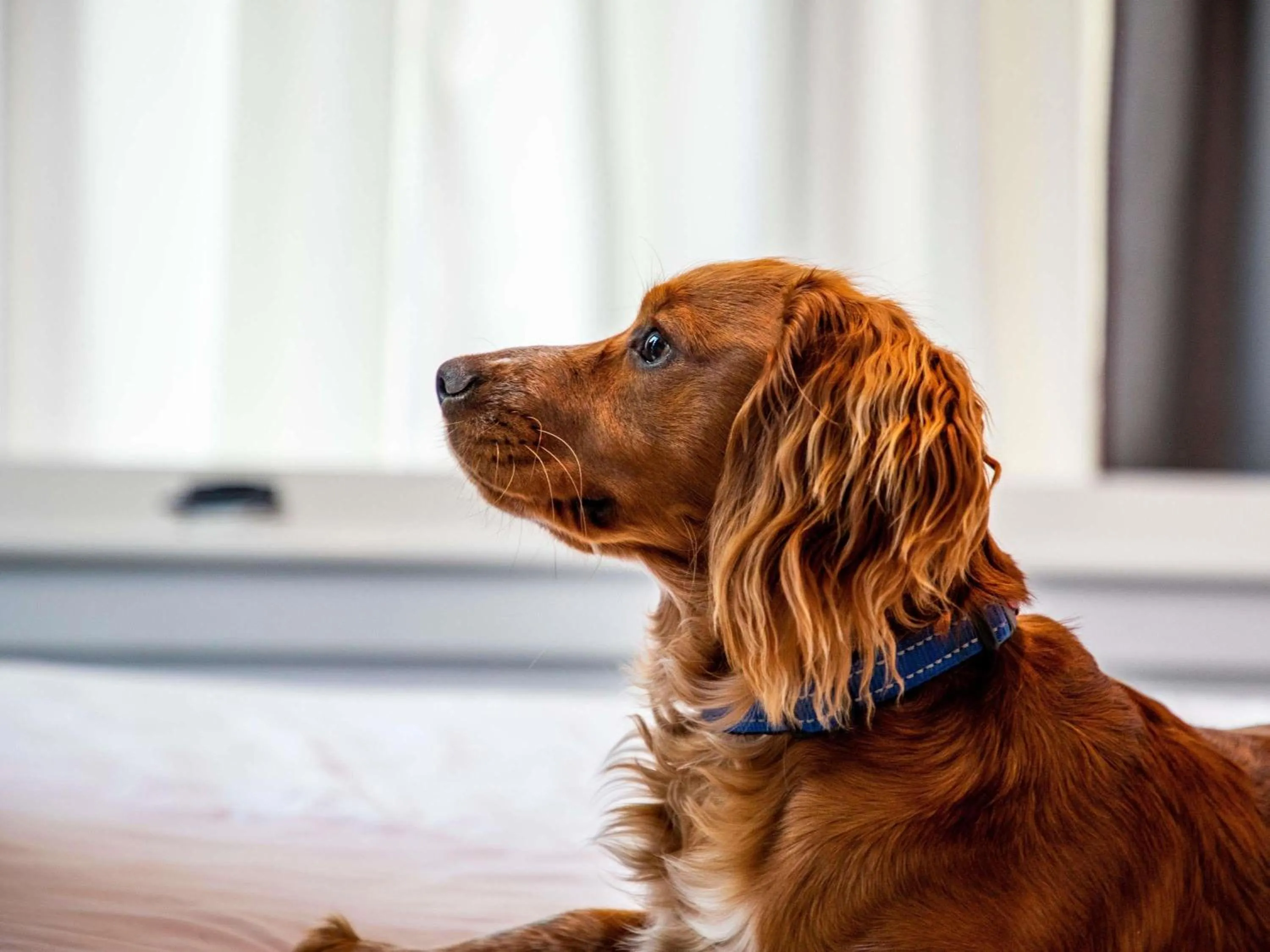 Bedroom in ibis Styles Glasgow Central