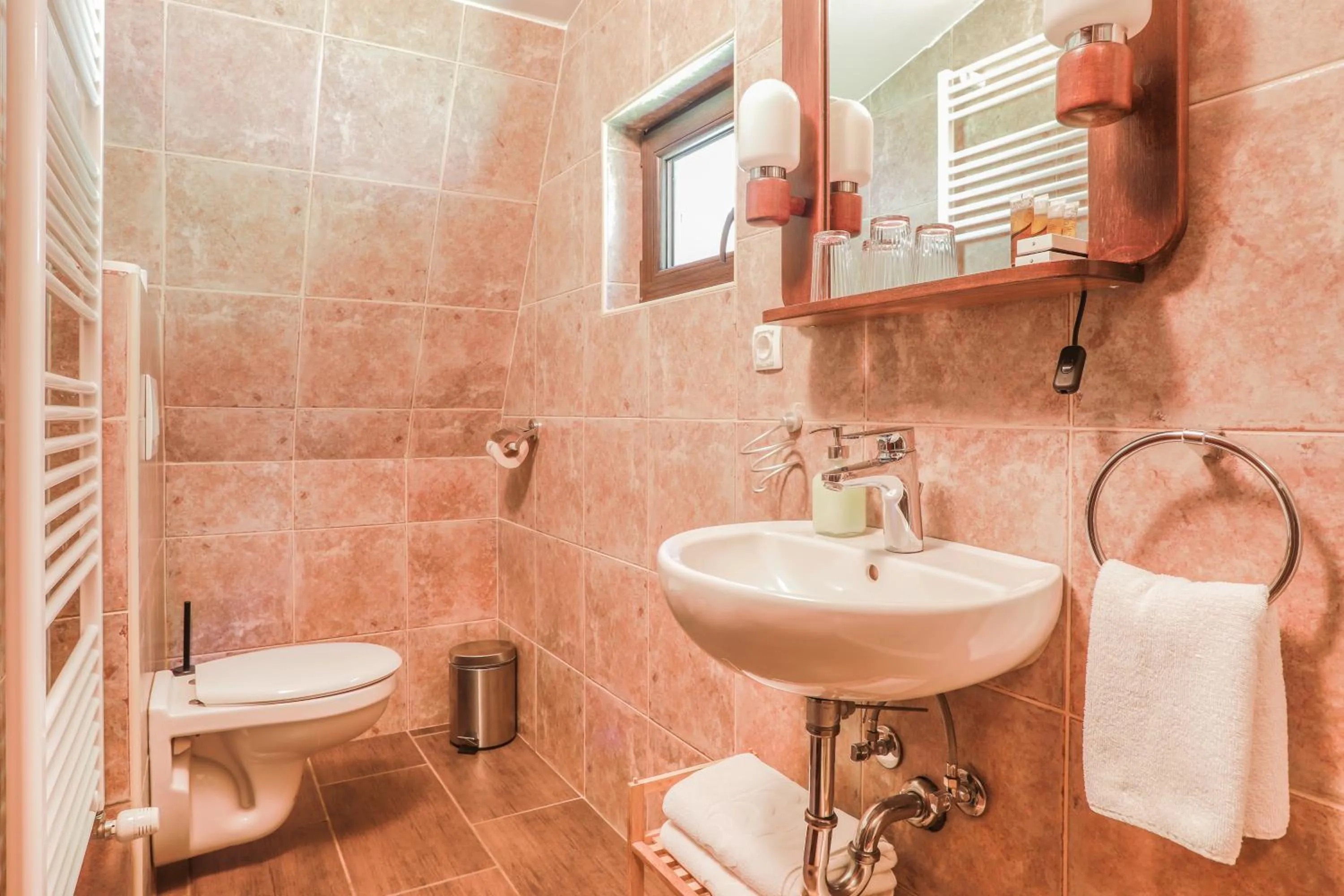 Toilet in Penzion Pibernik