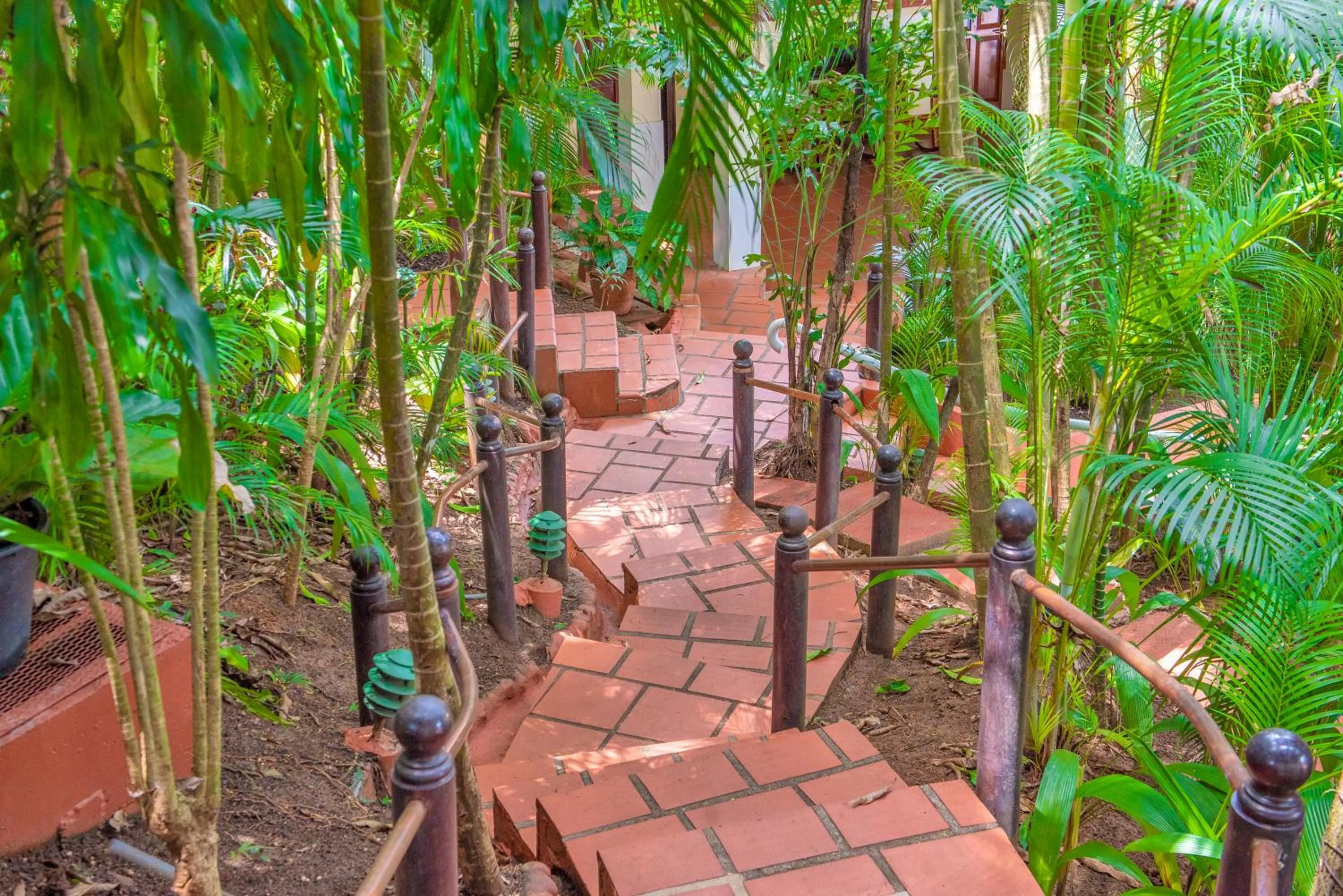 Patio in Hotel Villas Lirio