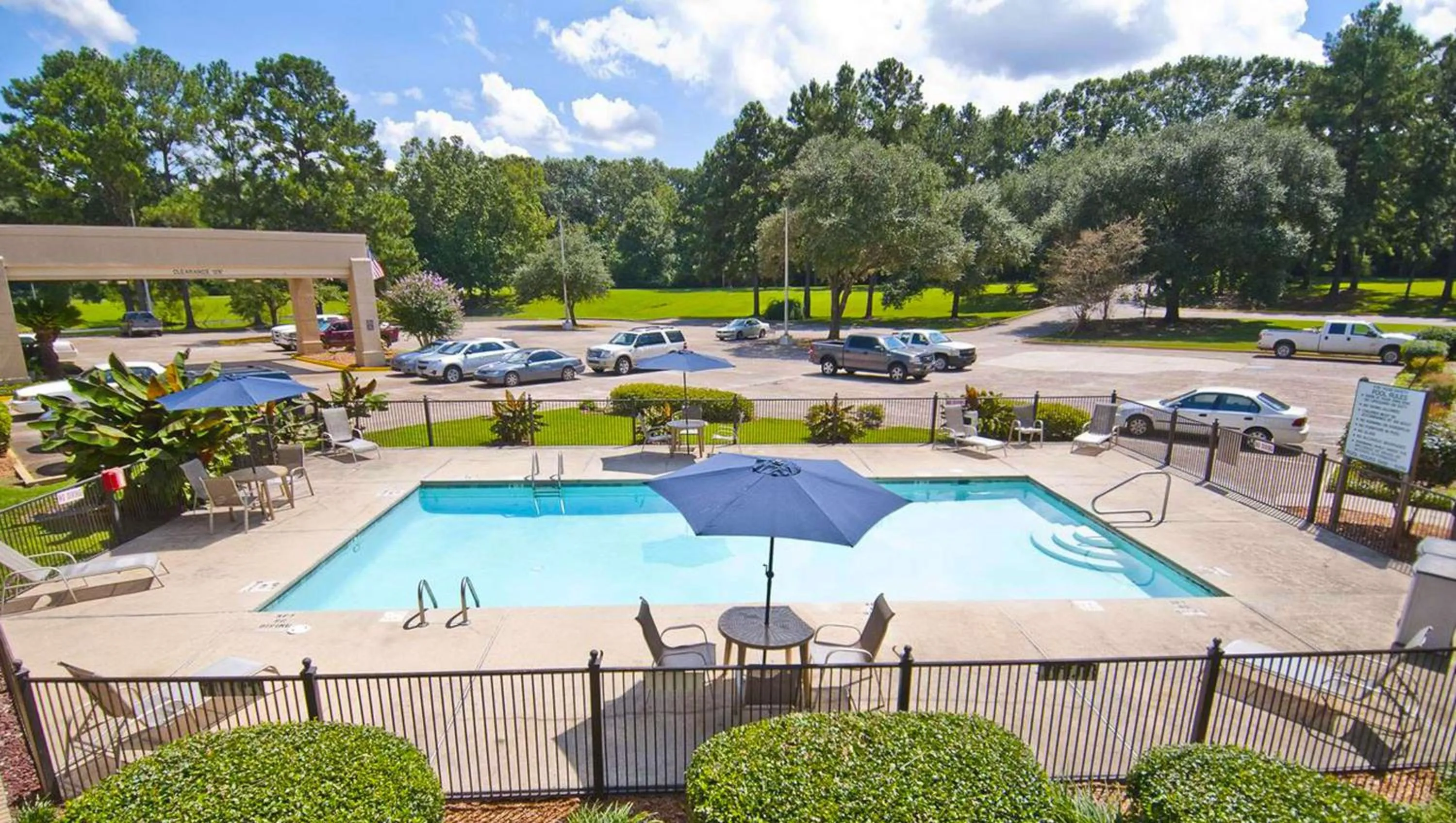 Swimming pool in Hotel Francis