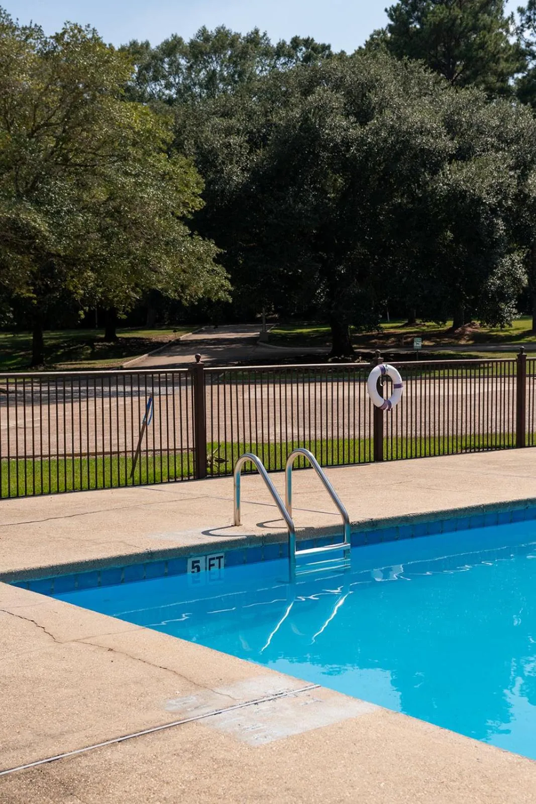 Swimming pool in Hotel Francis