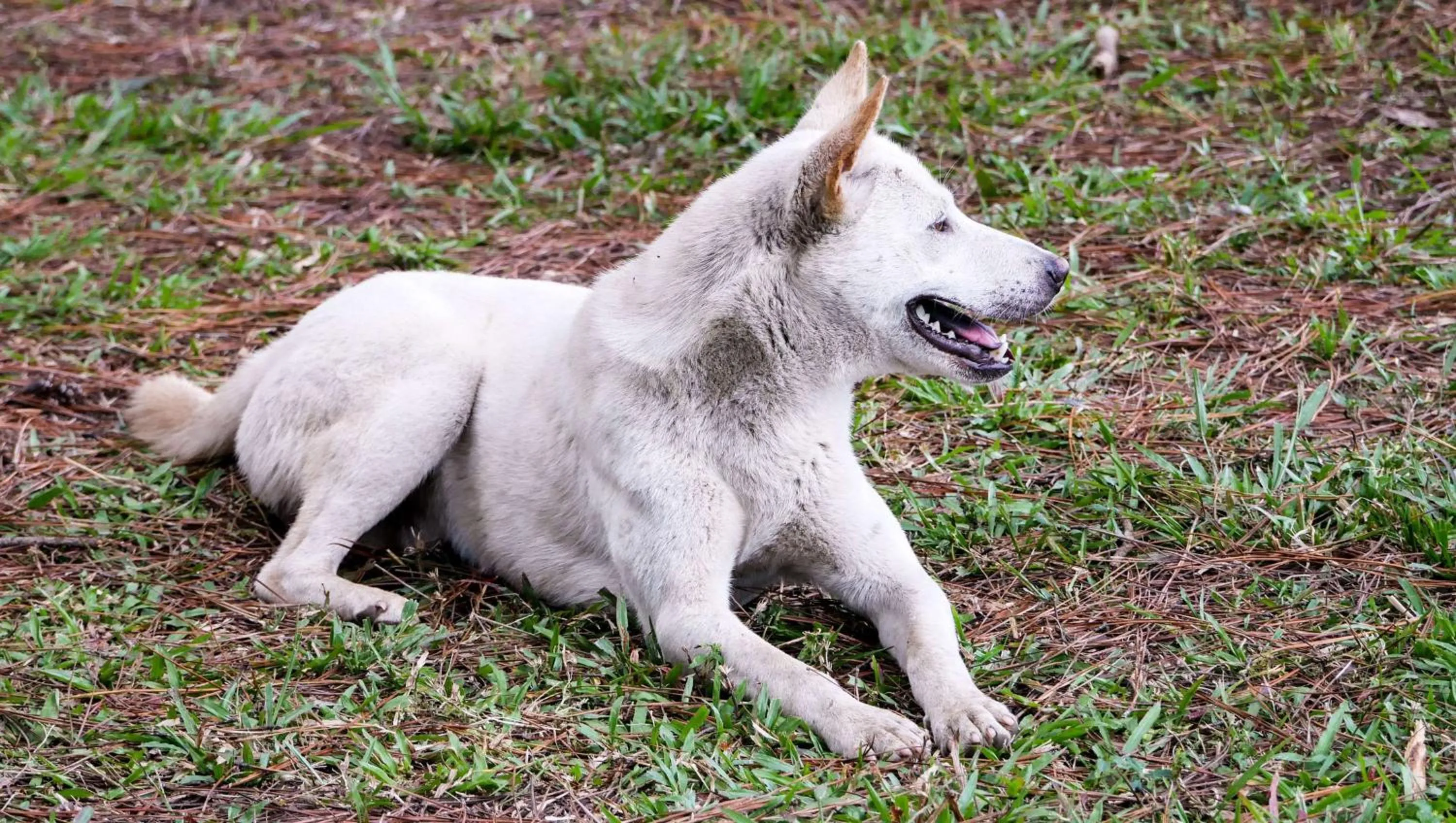 Other in Hotel Francis