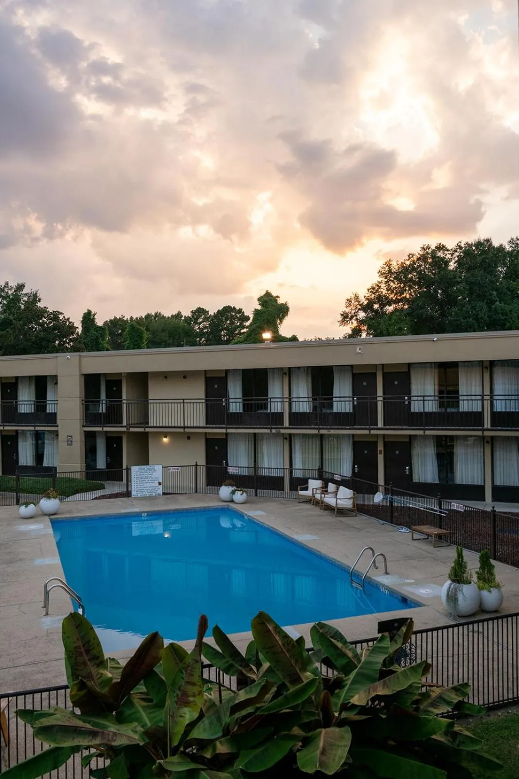 Swimming pool in Hotel Francis