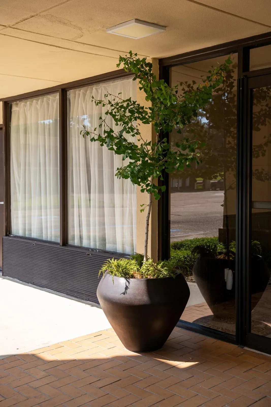 Property building in Hotel Francis