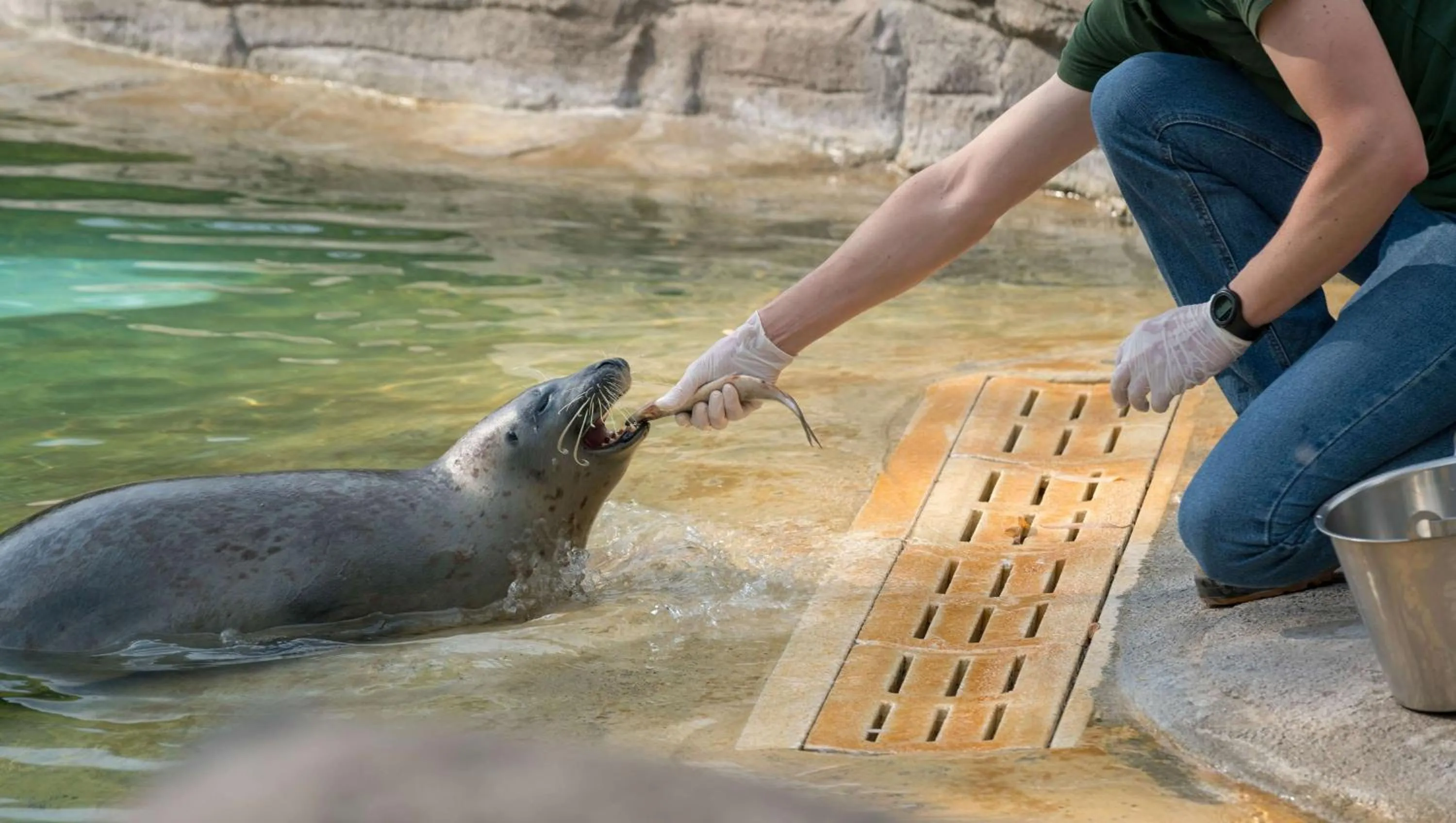 Nearby landmark in Hotel Francis