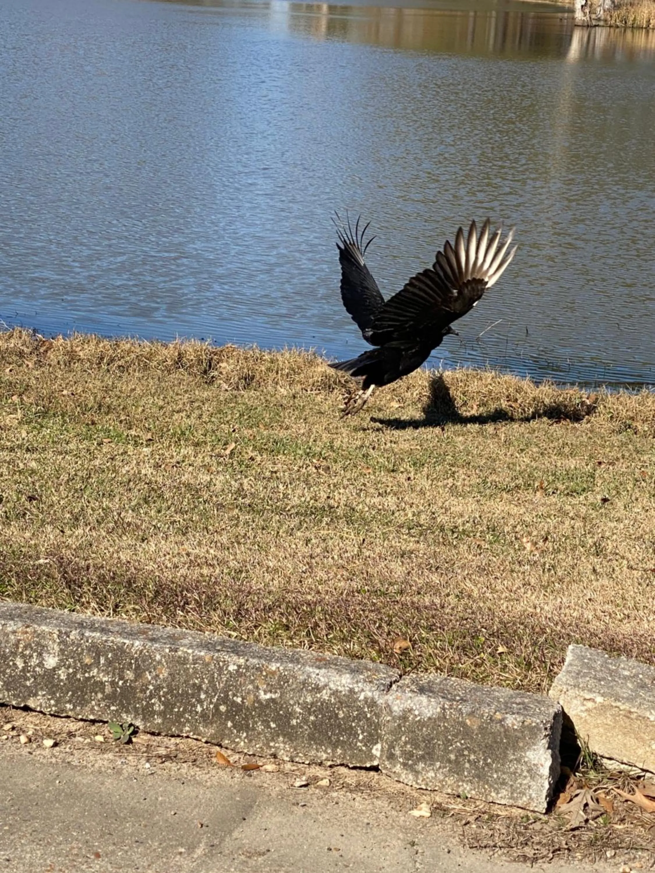 Natural landscape in Hotel Francis