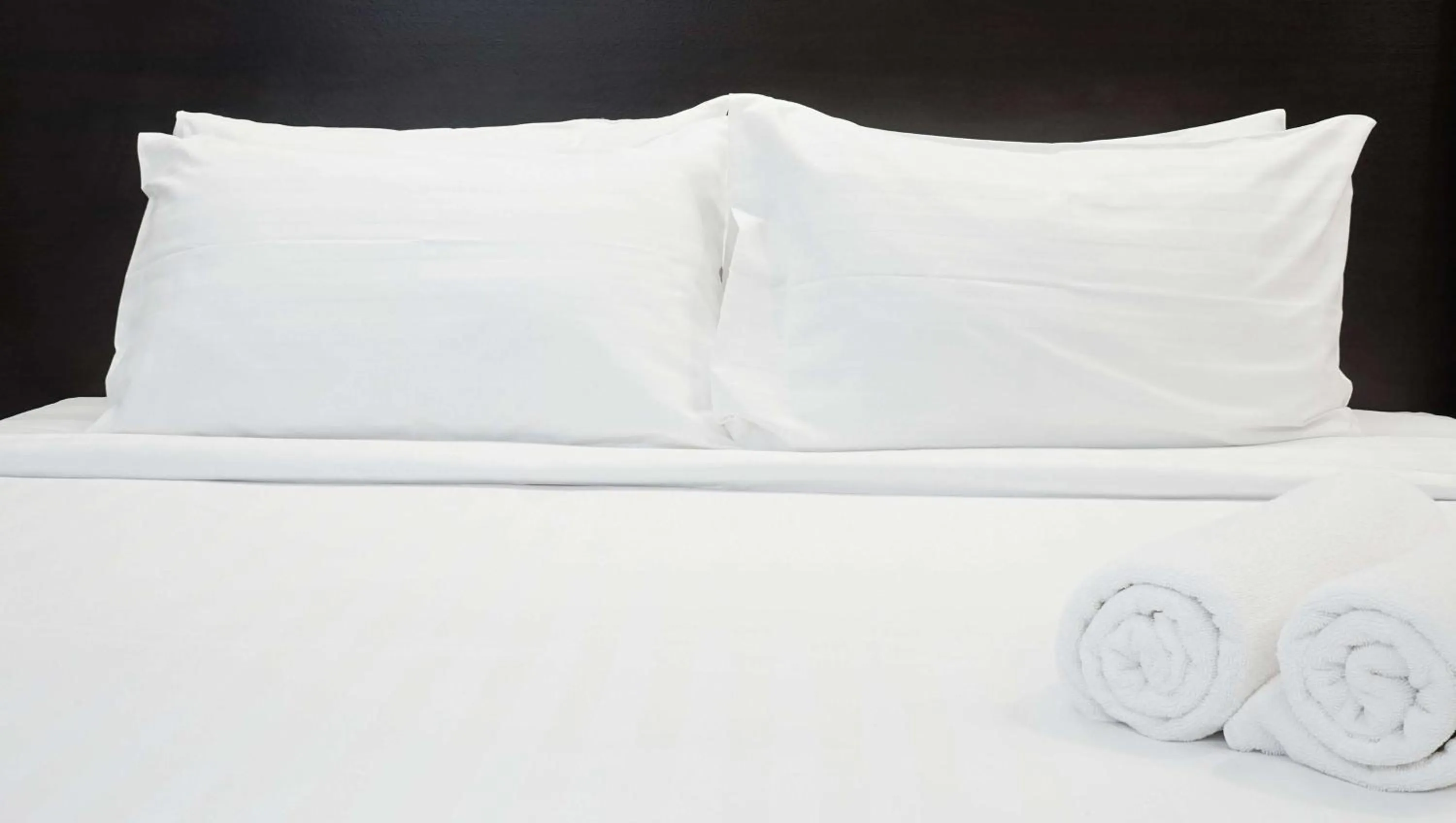 Photo of the whole room in Hotel Francis