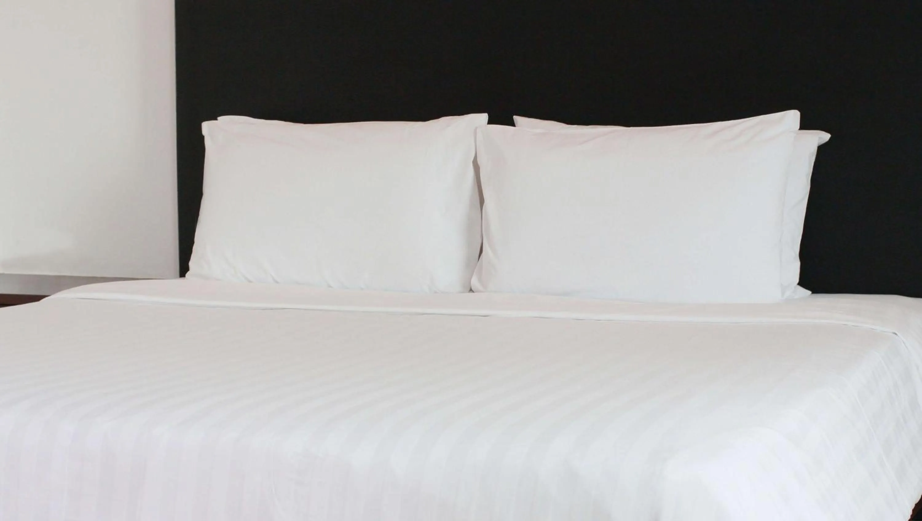 Photo of the whole room in Hotel Francis