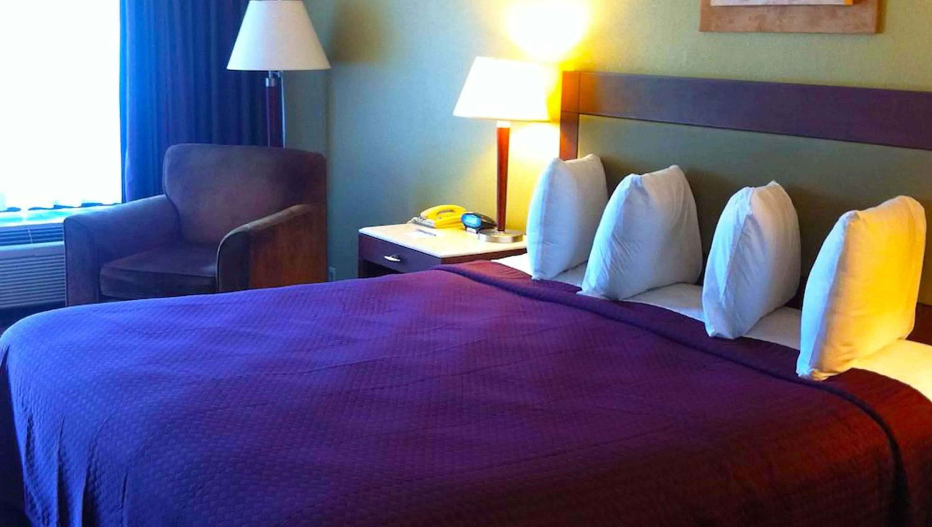 Photo of the whole room in Hotel Francis