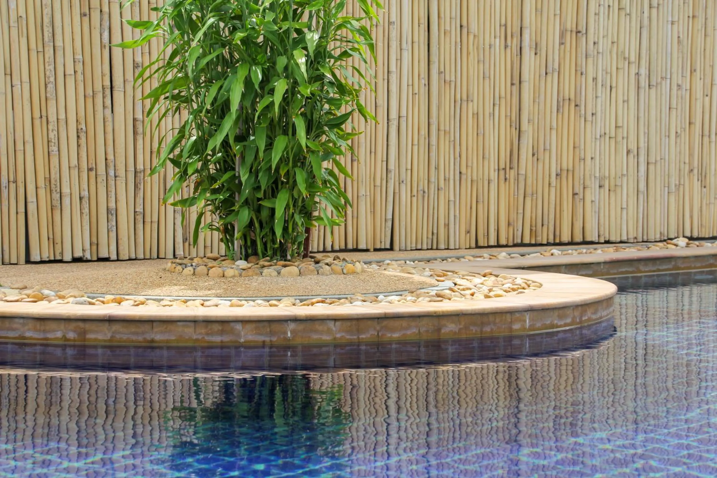 Swimming pool in Samui Mekkala Seaview