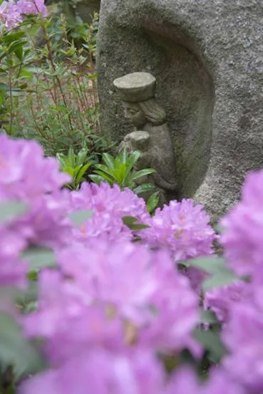 Natural landscape in ty dreux entre terre et mer