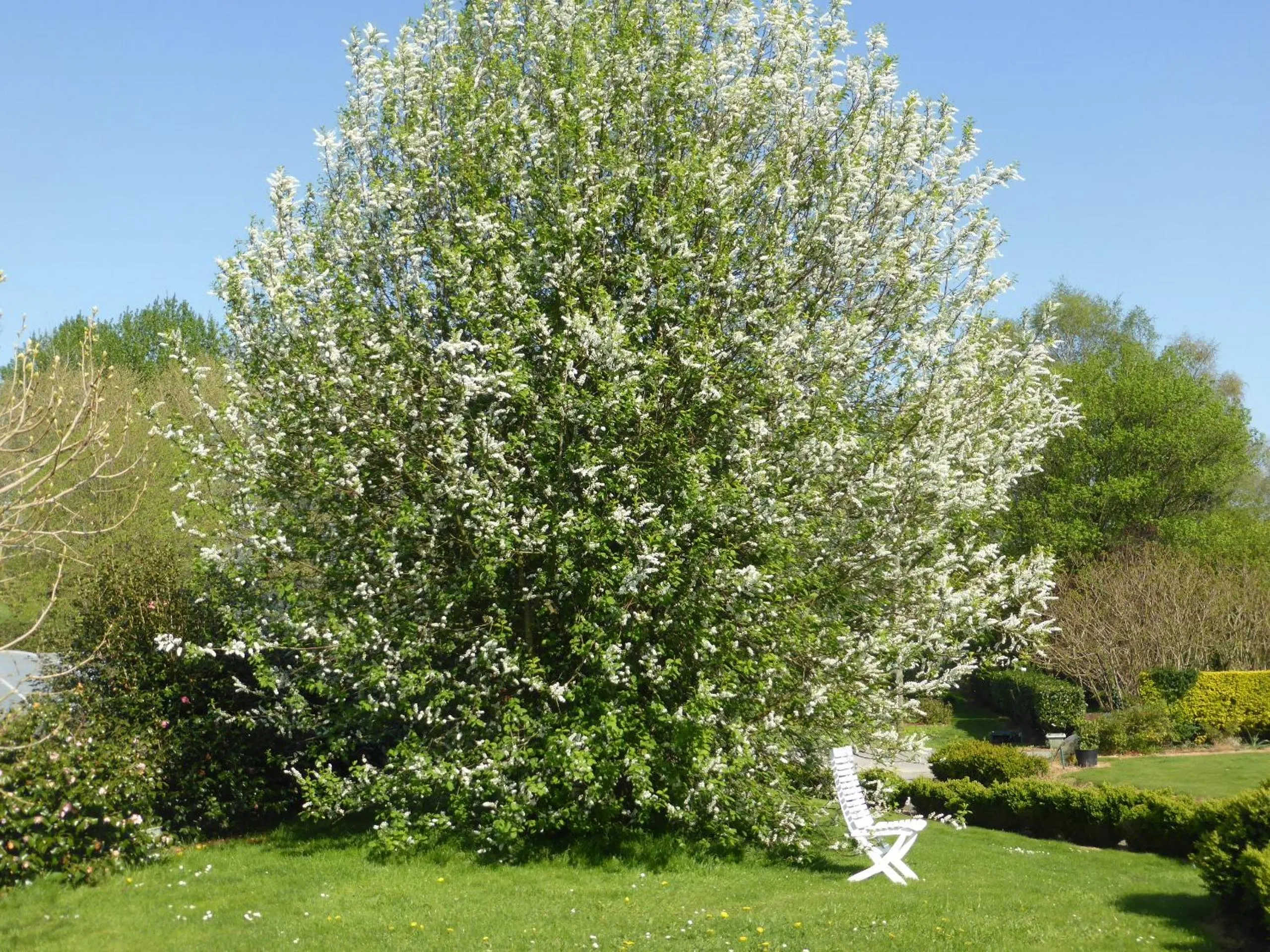Garden in ty dreux entre terre et mer