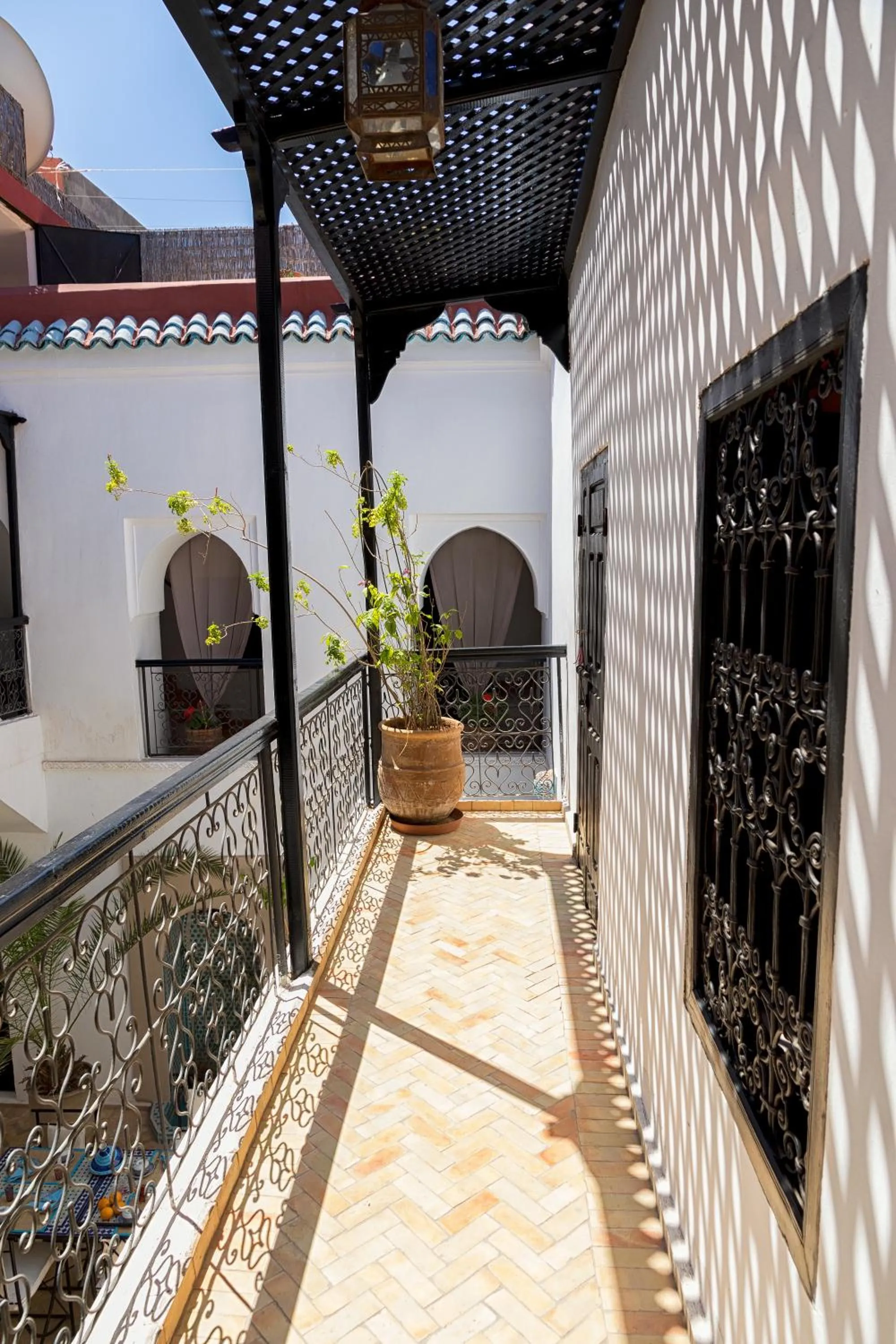 Area and facilities in Riad SASHA