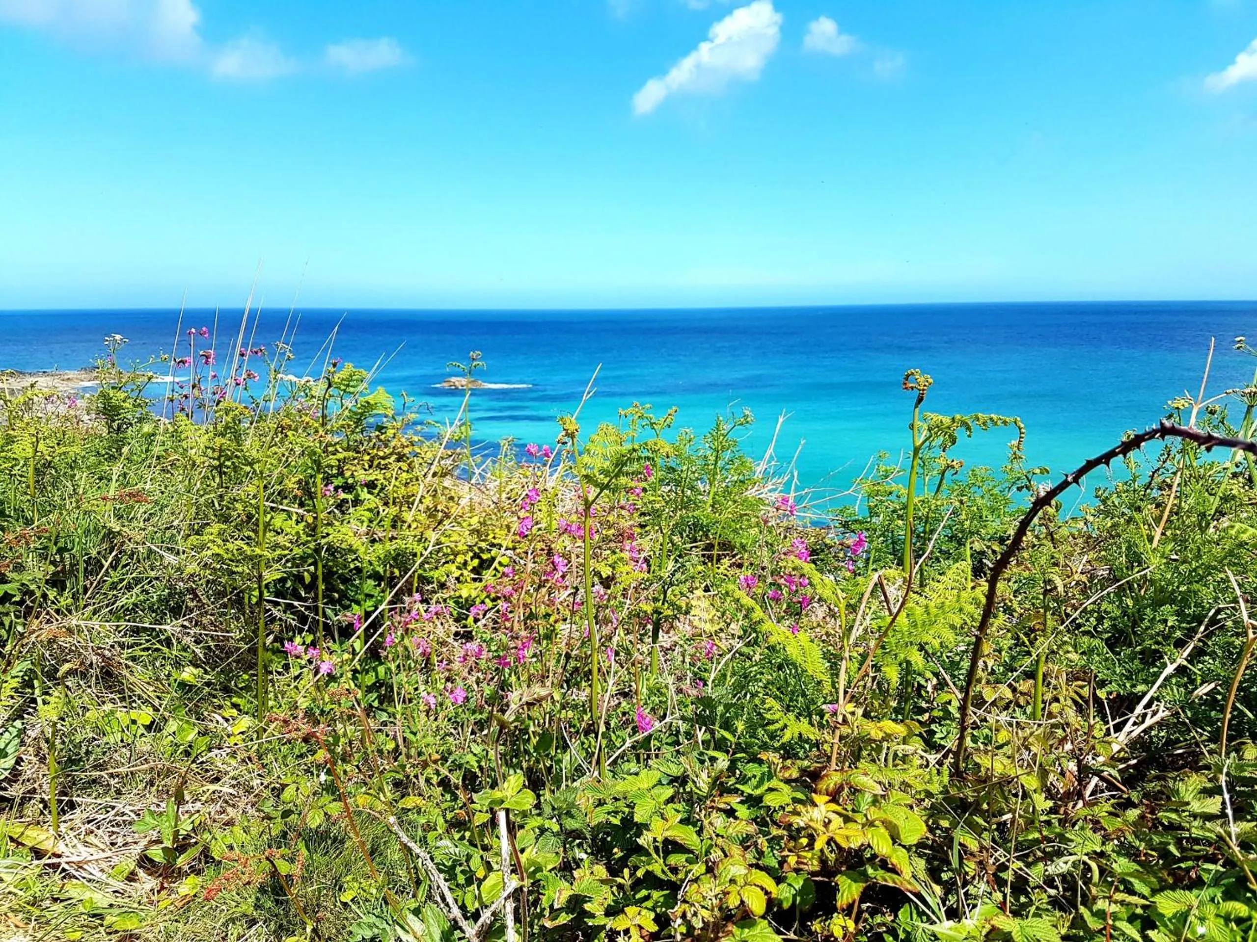 Natural landscape in Saltwater