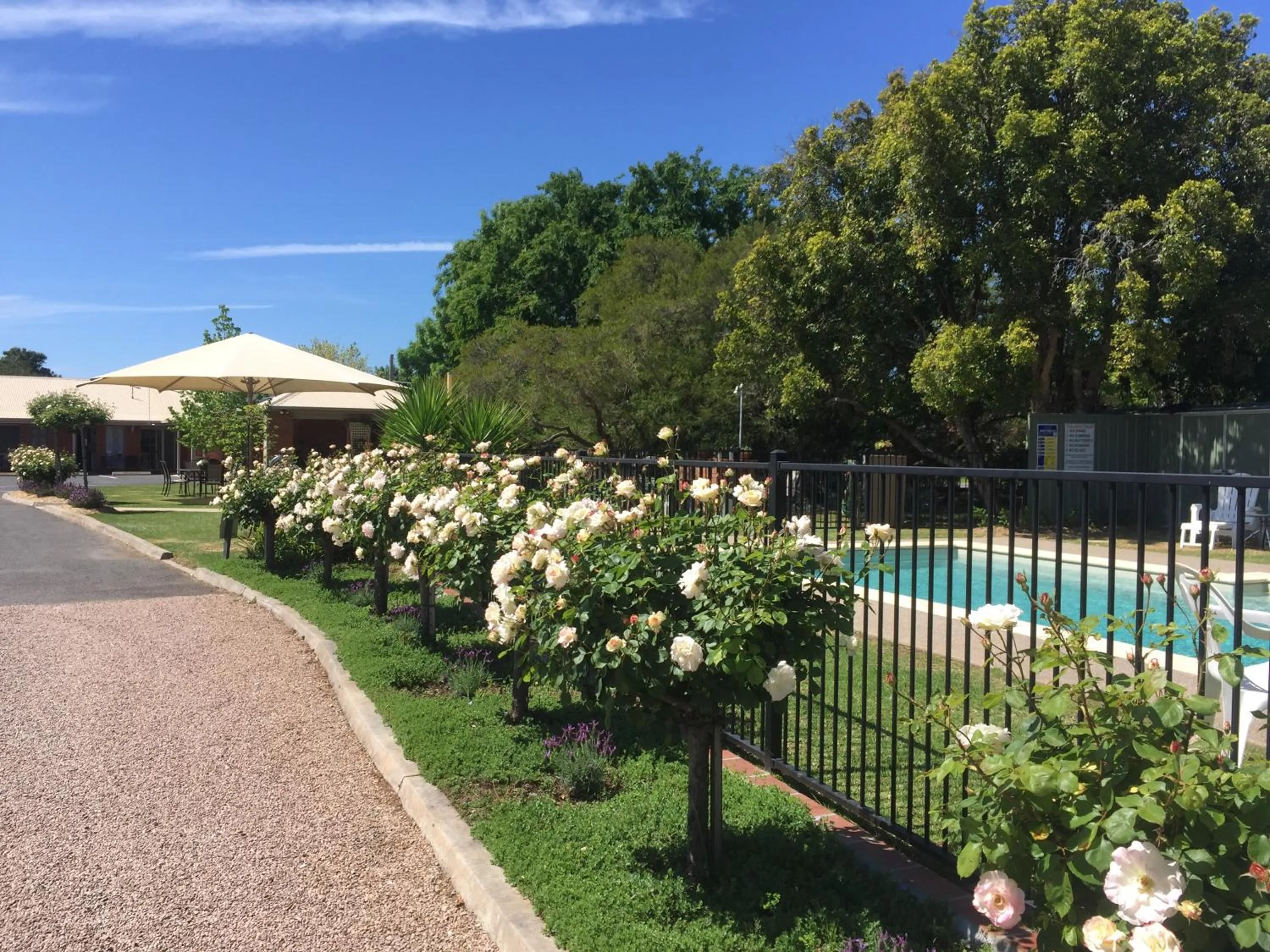 Wine Village Motor Inn