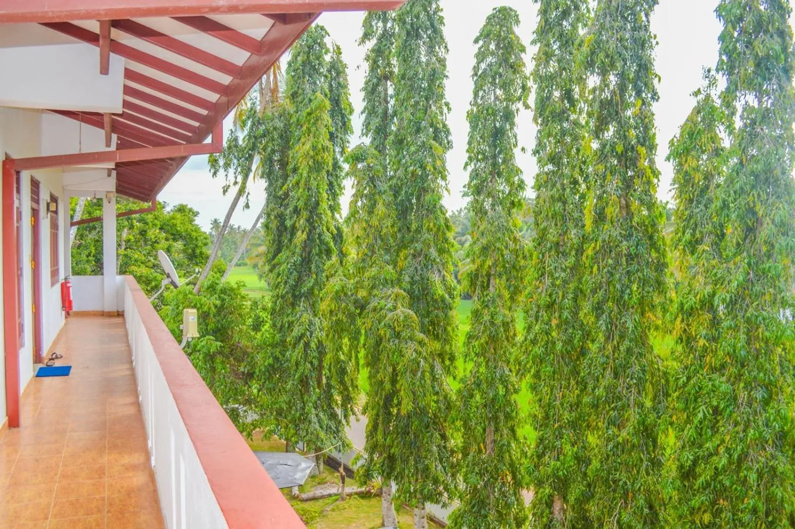 Garden in Airport Green View Hotel Katunayake