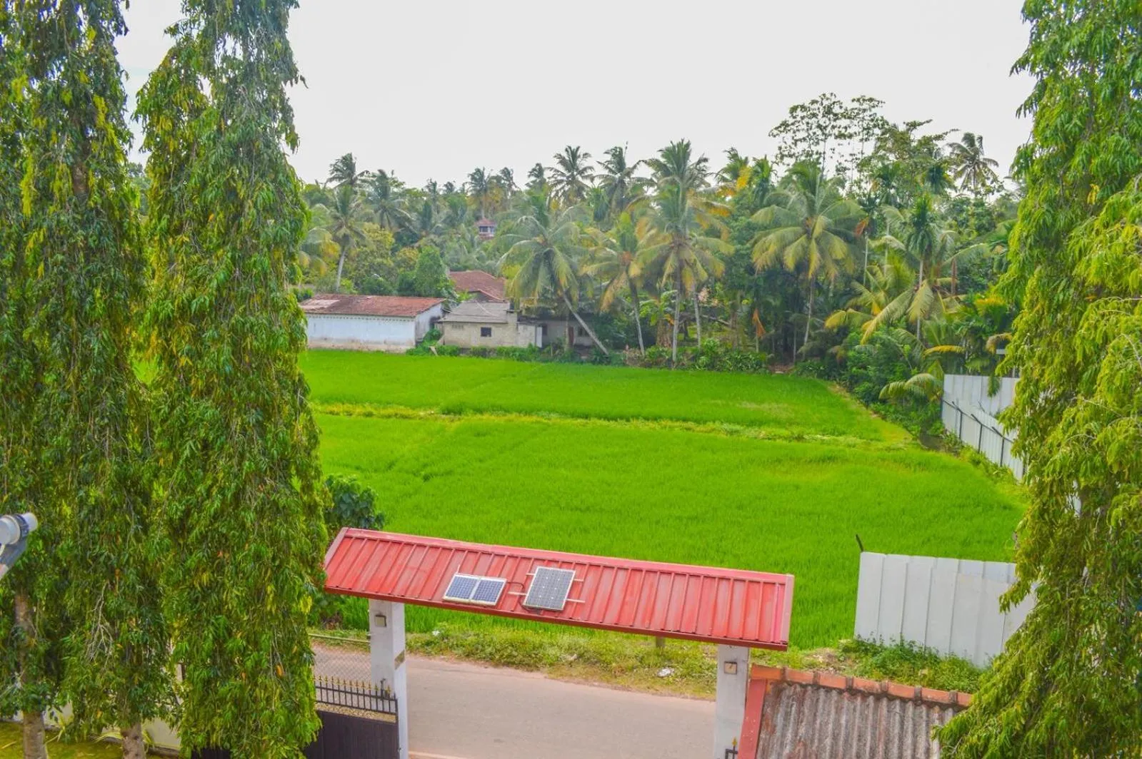 Natural landscape in Airport Green View Hotel Katunayake
