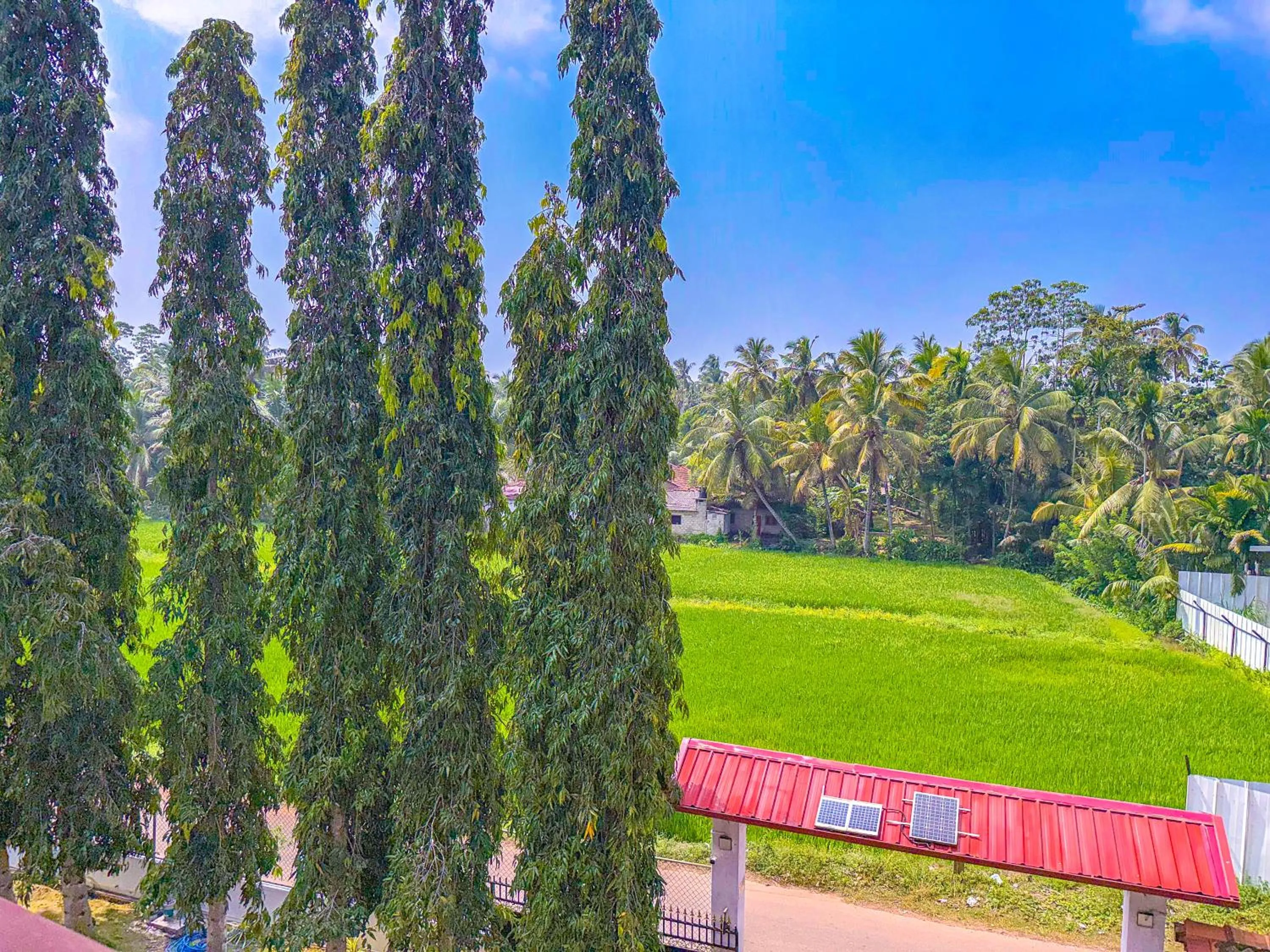 Natural landscape in Airport Green View Hotel Katunayake