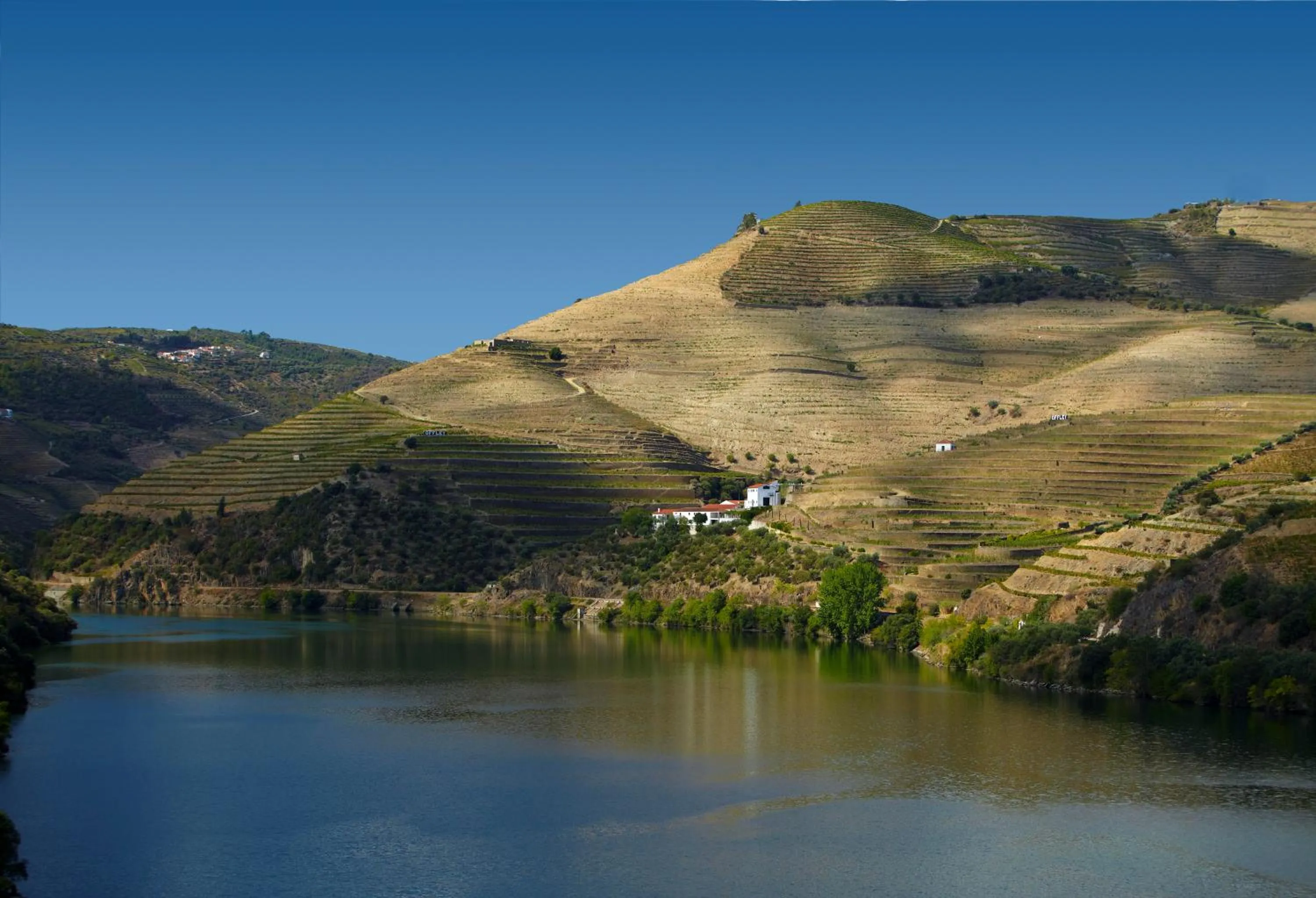 Natural landscape in The Vintage House - Douro