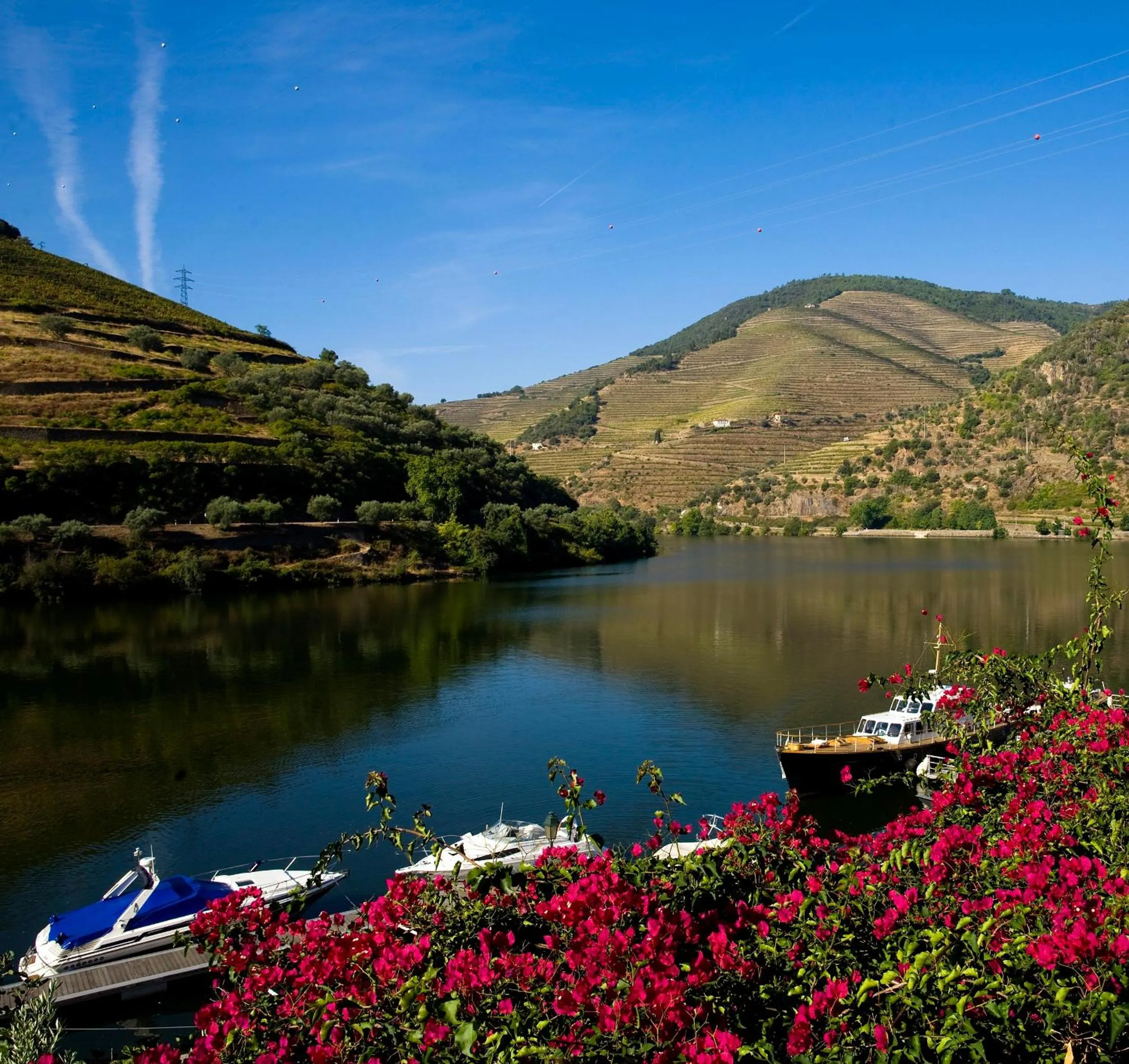 Natural landscape in The Vintage House - Douro