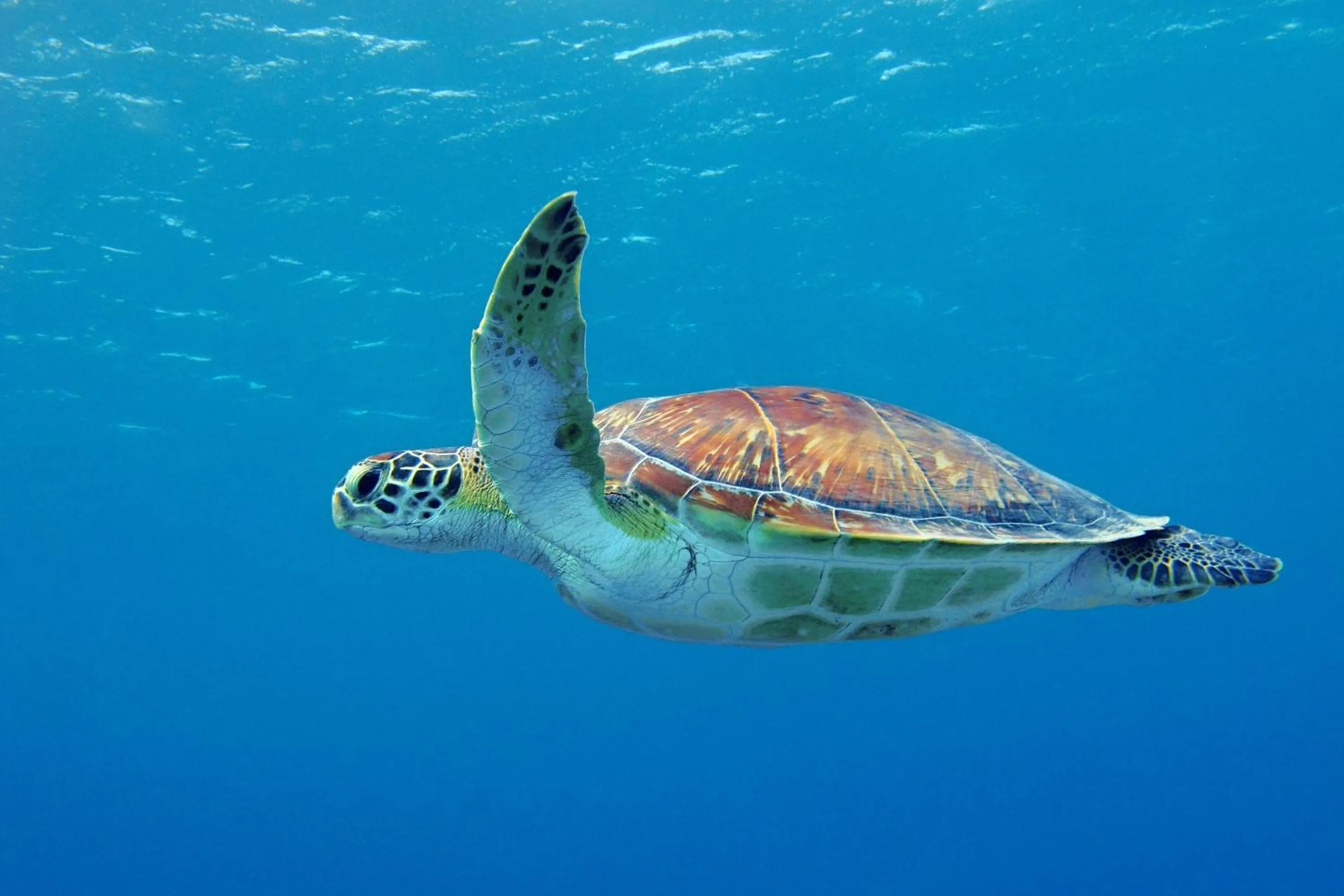 Off site in Kalamaki Beach Hotel, Zakynthos Island