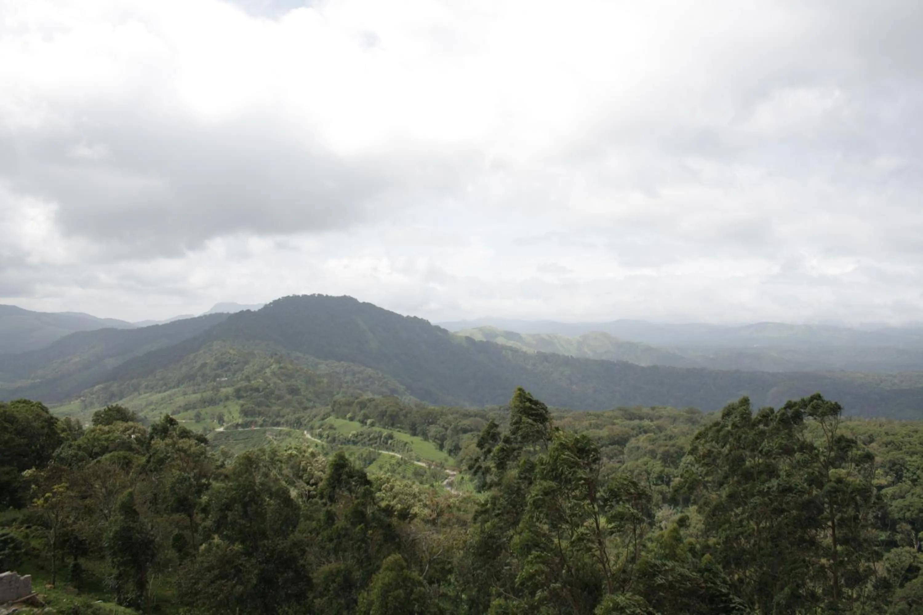 Balcony/Terrace in Ayur County Resort